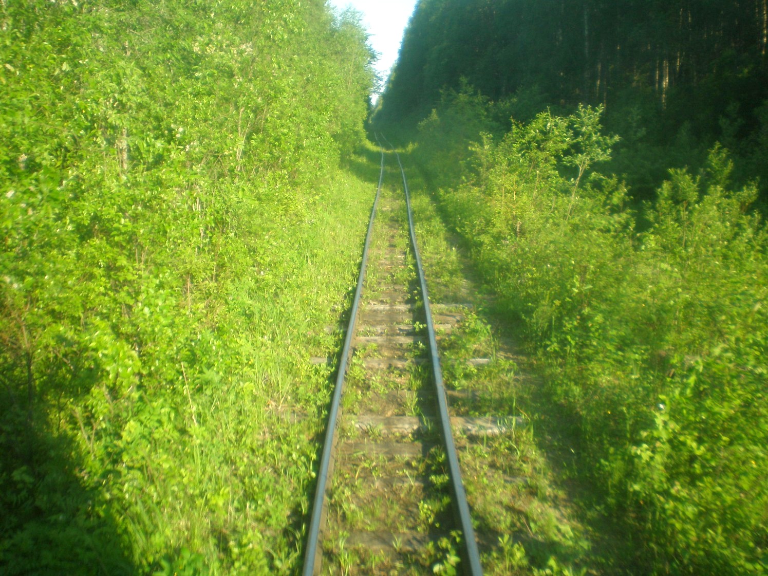 Ивакшанская узкоколейная железная дорога — фотографии, сделанные в 2009 году (часть 4)