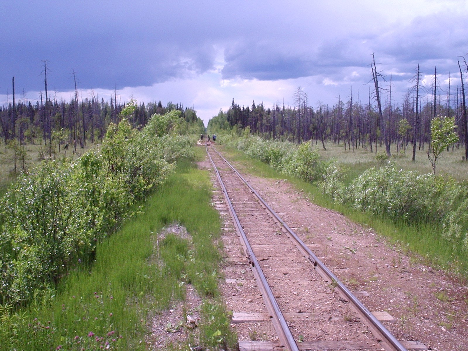 Зеленниковская узкоколейная железная дорога
  —  фотографии, сделанные в 2005 году (часть 2)