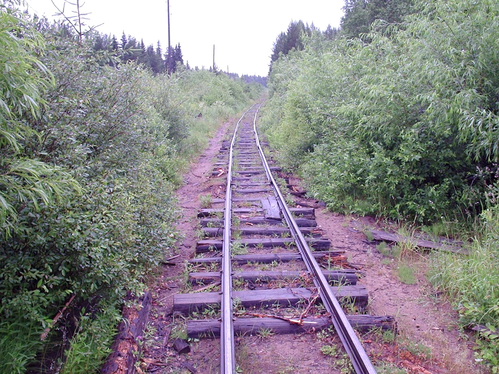 Куликовская узкоколейная железная дорога  — фотографии, сделанные в 2005 году (часть 1)
