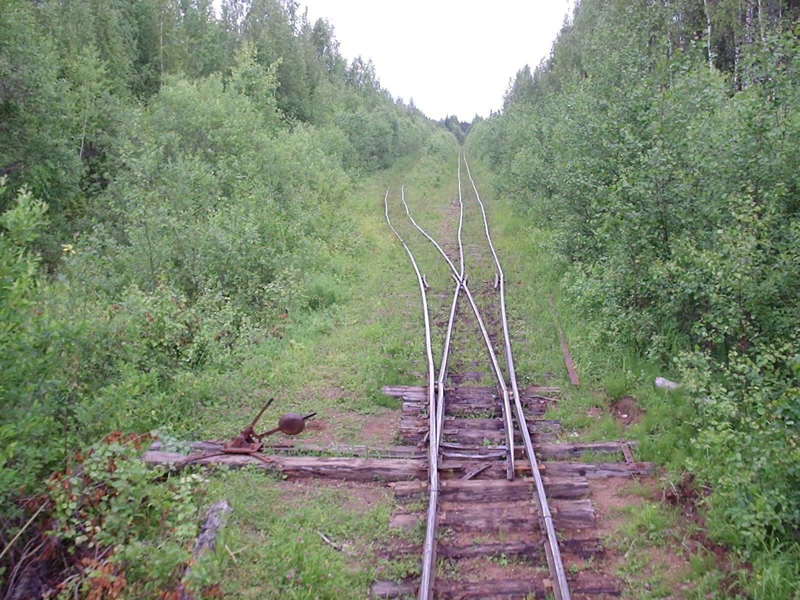 Куликовская узкоколейная железная дорога  — фотографии, сделанные в 2005 году (часть 3)