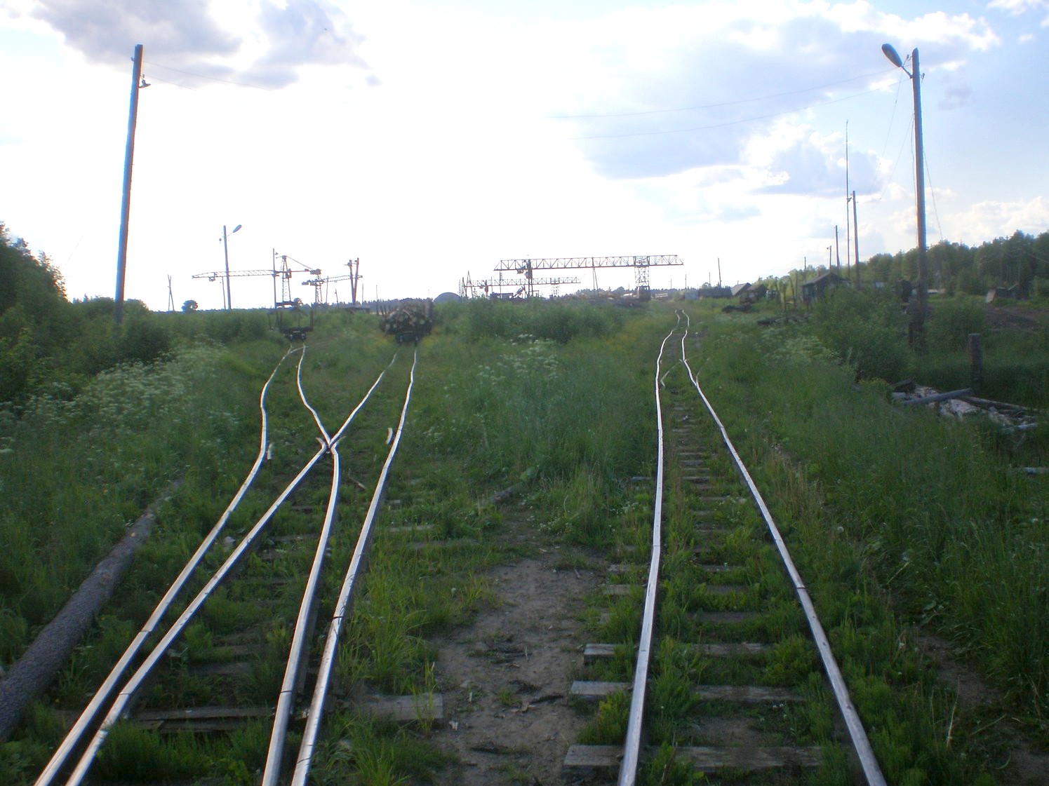 Лепшинская узкоколейная железная дорога   —  фотографии, сделанные в 2009 году (часть 3)