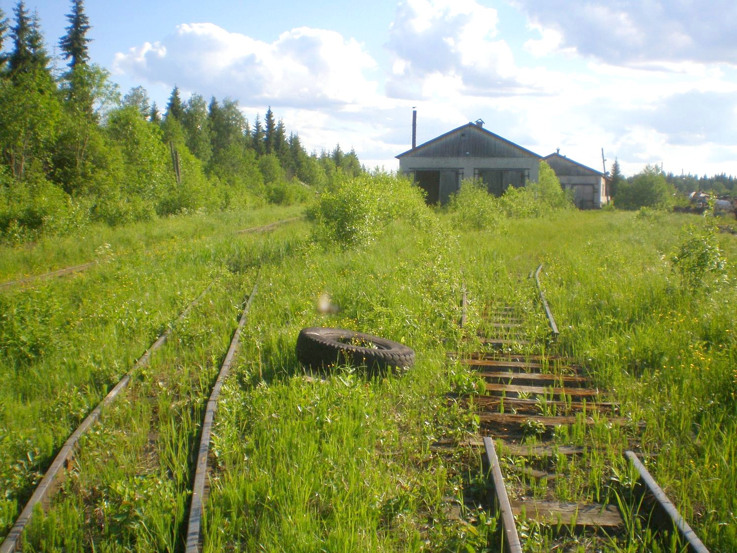 Лепшинская узкоколейная железная дорога   —  фотографии, сделанные в 2009 году (часть 4)