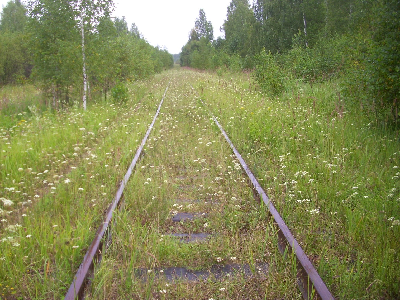 Шортюгская железная дорога
  —  фотографии, сделанные в 2012 году (часть 7)