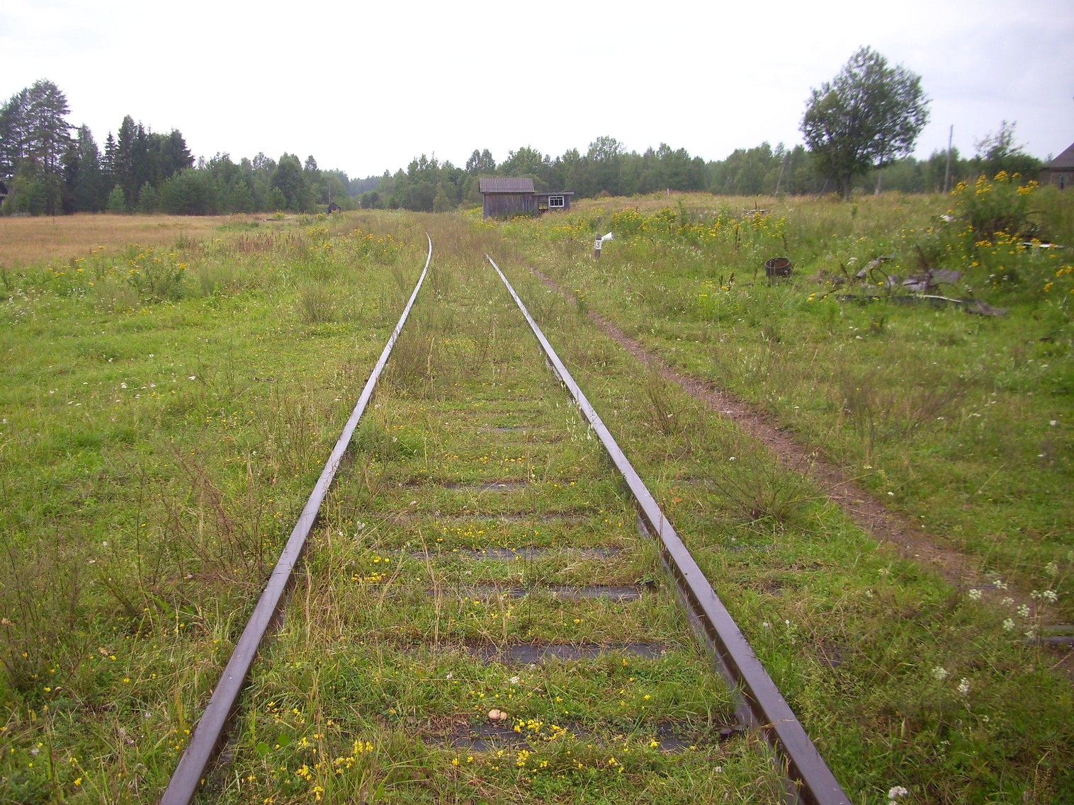 Шортюгская железная дорога
  —  фотографии, сделанные в 2012 году (часть 8)