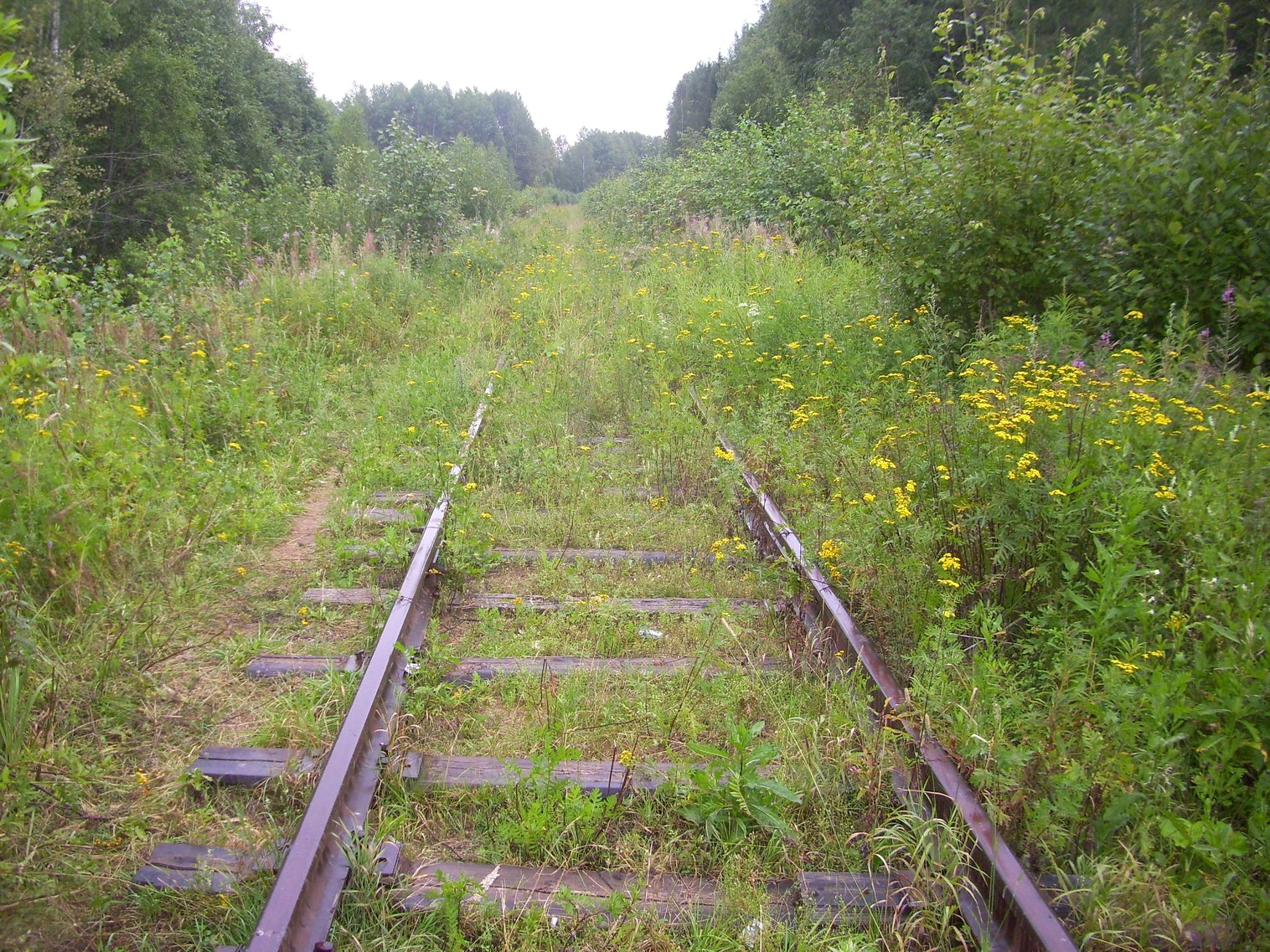 Шортюгская железная дорога
  —  фотографии, сделанные в 2012 году (часть 3)