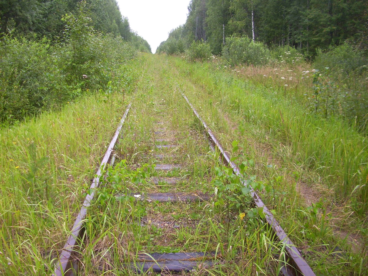 Шортюгская железная дорога
  —  фотографии, сделанные в 2012 году (часть 5)