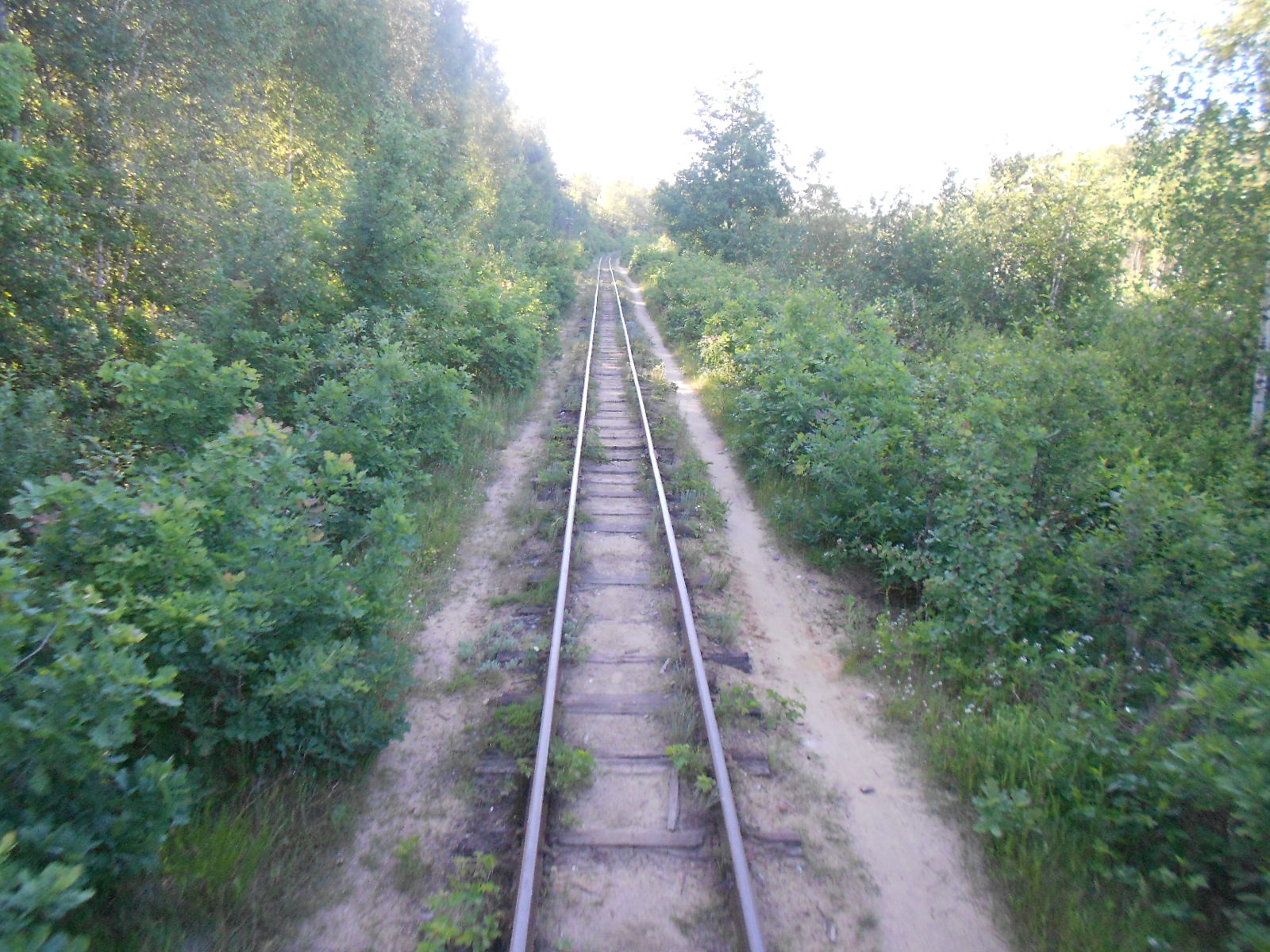Узкоколейная железная дорога Антоновка — Заречное — фотографии, сделанные в 2016 году (часть 4)