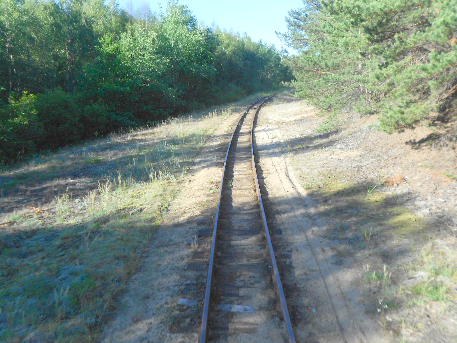 Узкоколейная железная дорога Антоновка — Заречное — фотографии, сделанные в 2016 году (часть 6)