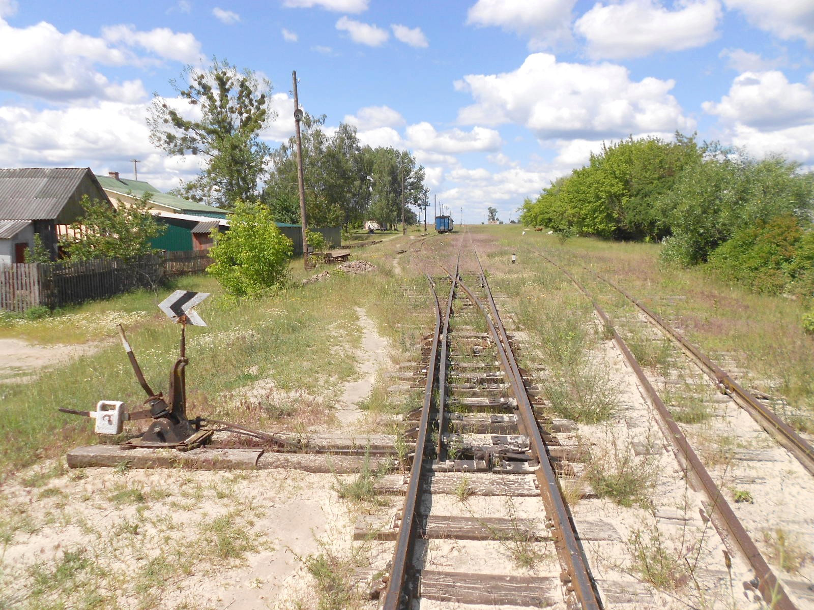 Узкоколейная железная дорога Антоновка — Заречное — фотографии, сделанные в 2016 году (часть 11)