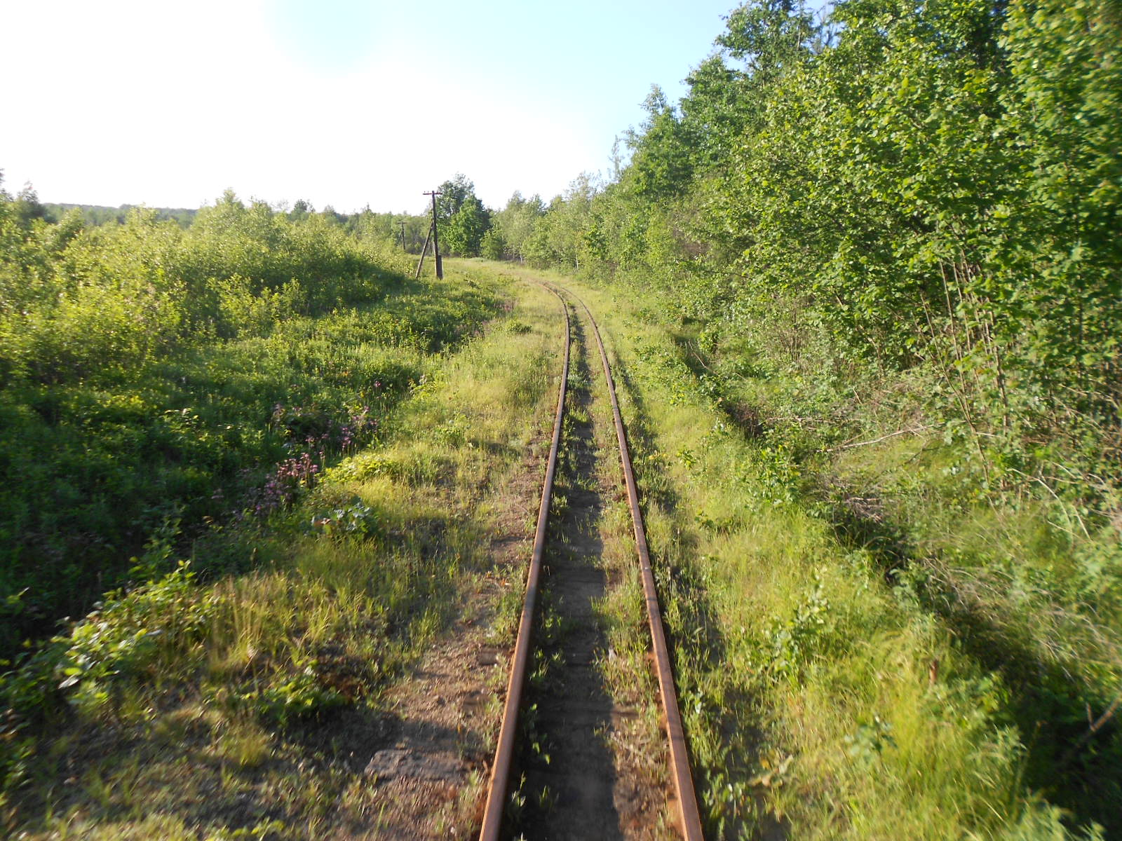 Узкоколейная железная дорога Антоновка — Заречное — фотографии, сделанные в 2016 году (часть 2)