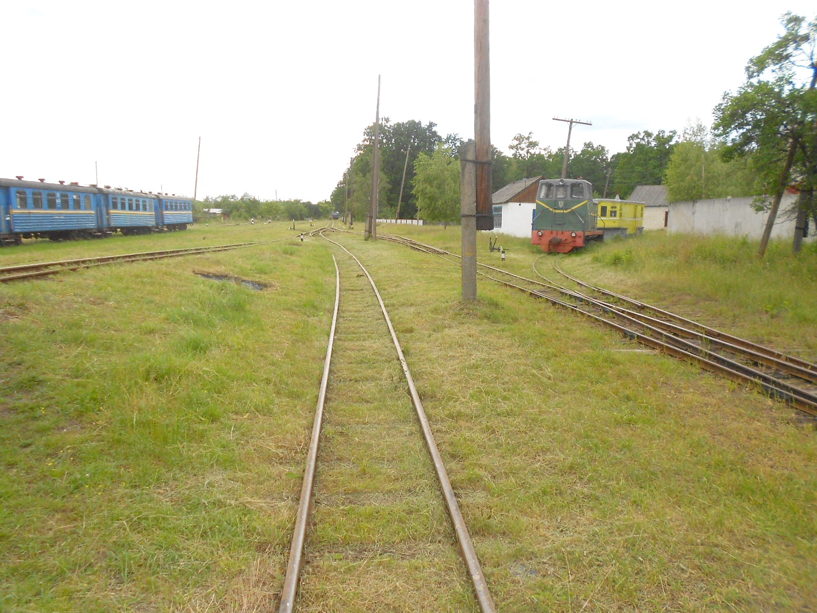 Узкоколейная железная дорога Антоновка — Заречное — фотографии, сделанные в 2016 году (часть 13)