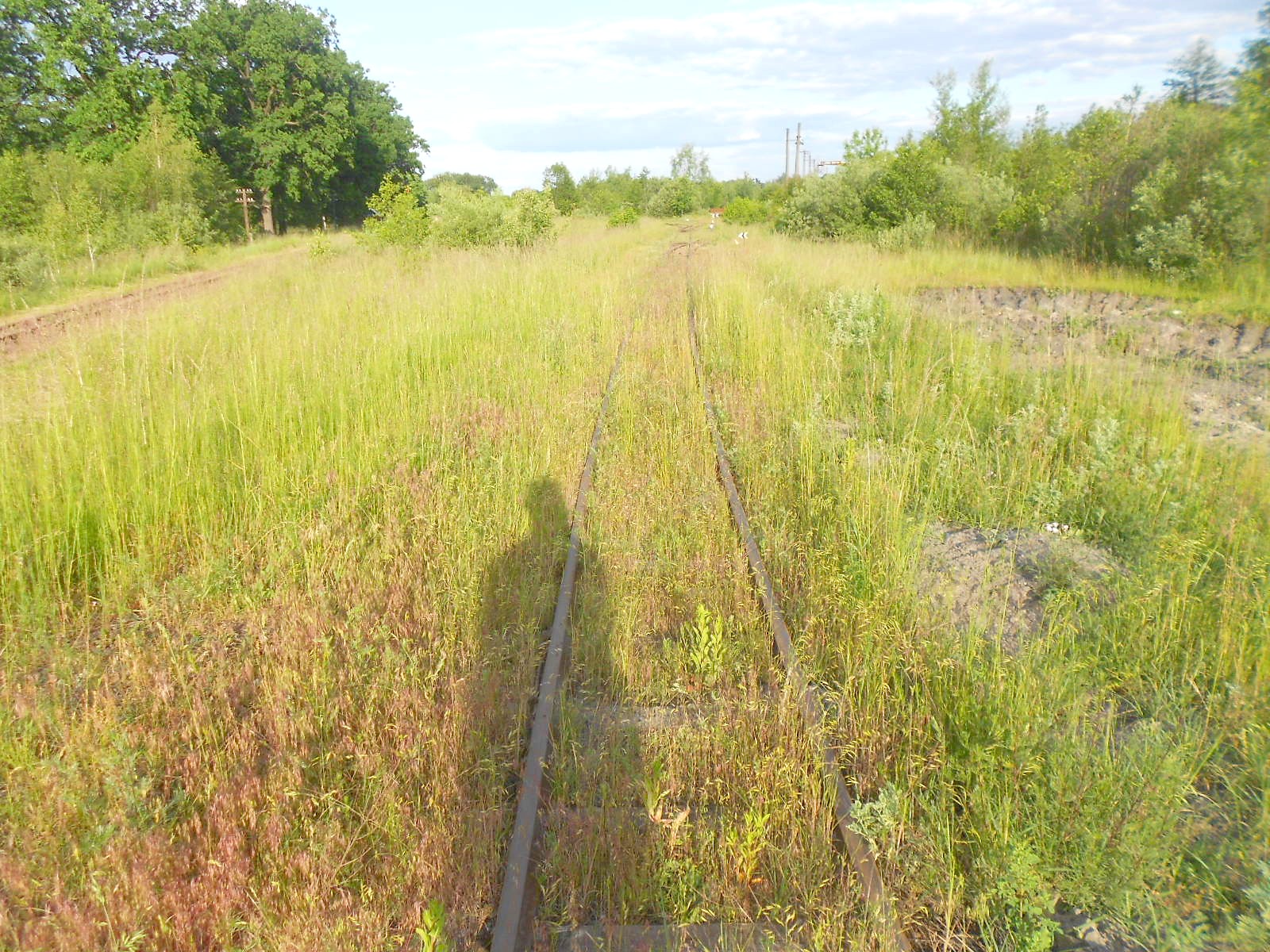 Узкоколейная железная дорога Антоновка — Заречное — фотографии, сделанные в 2016 году (часть 16)