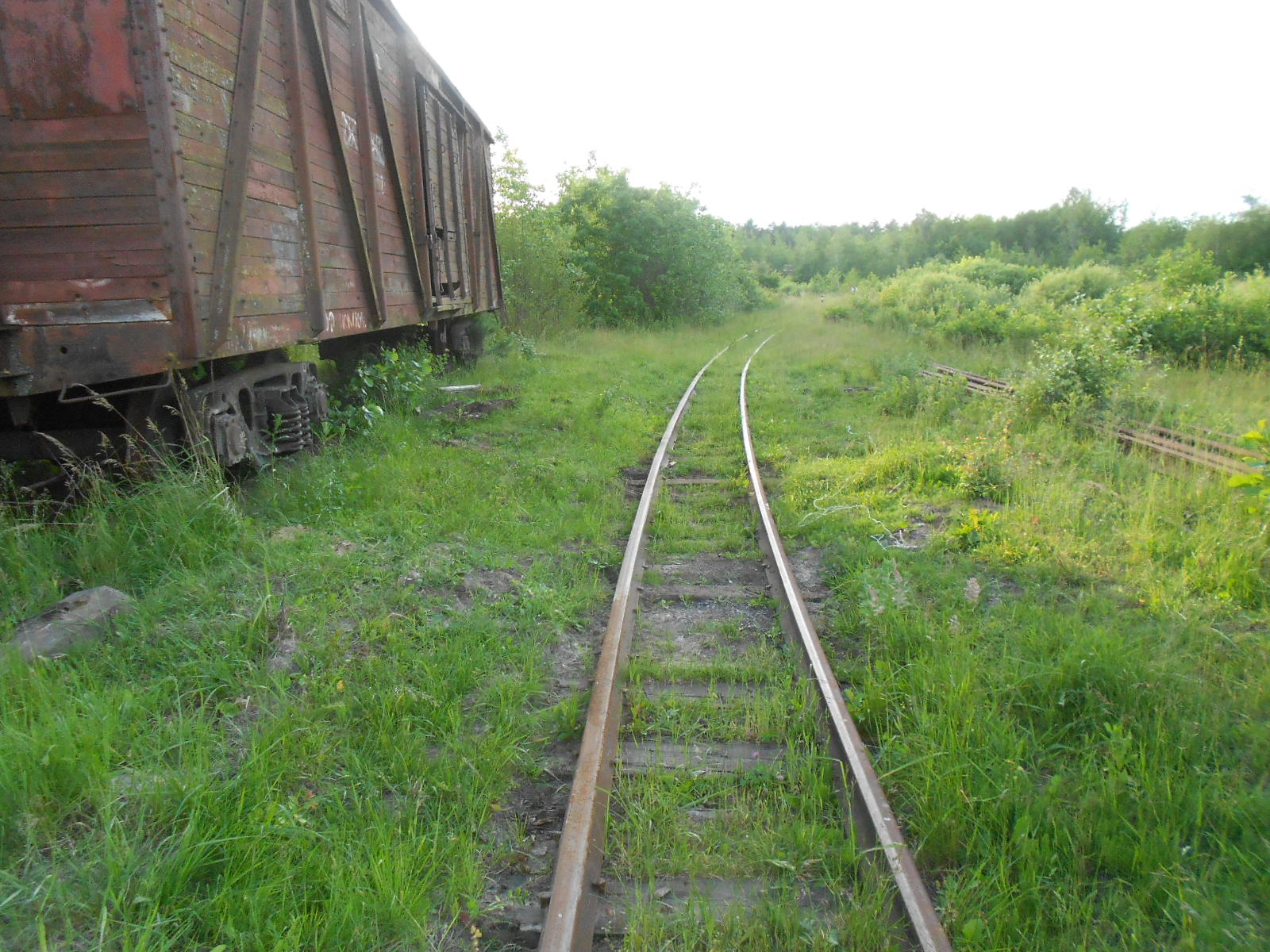 Узкоколейная железная дорога Антоновка — Заречное — фотографии, сделанные в 2016 году (часть 17)