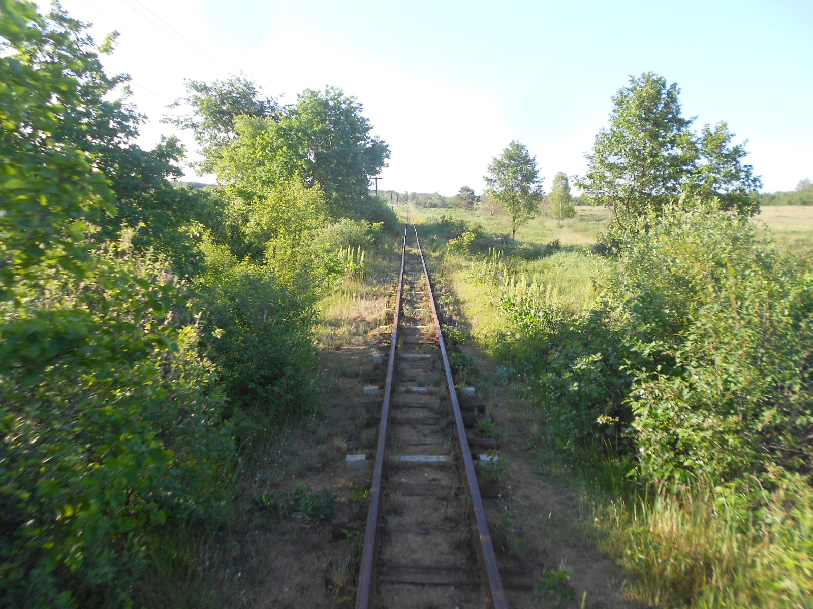 Узкоколейная железная дорога Антоновка — Заречное — фотографии, сделанные в 2016 году (часть 3)