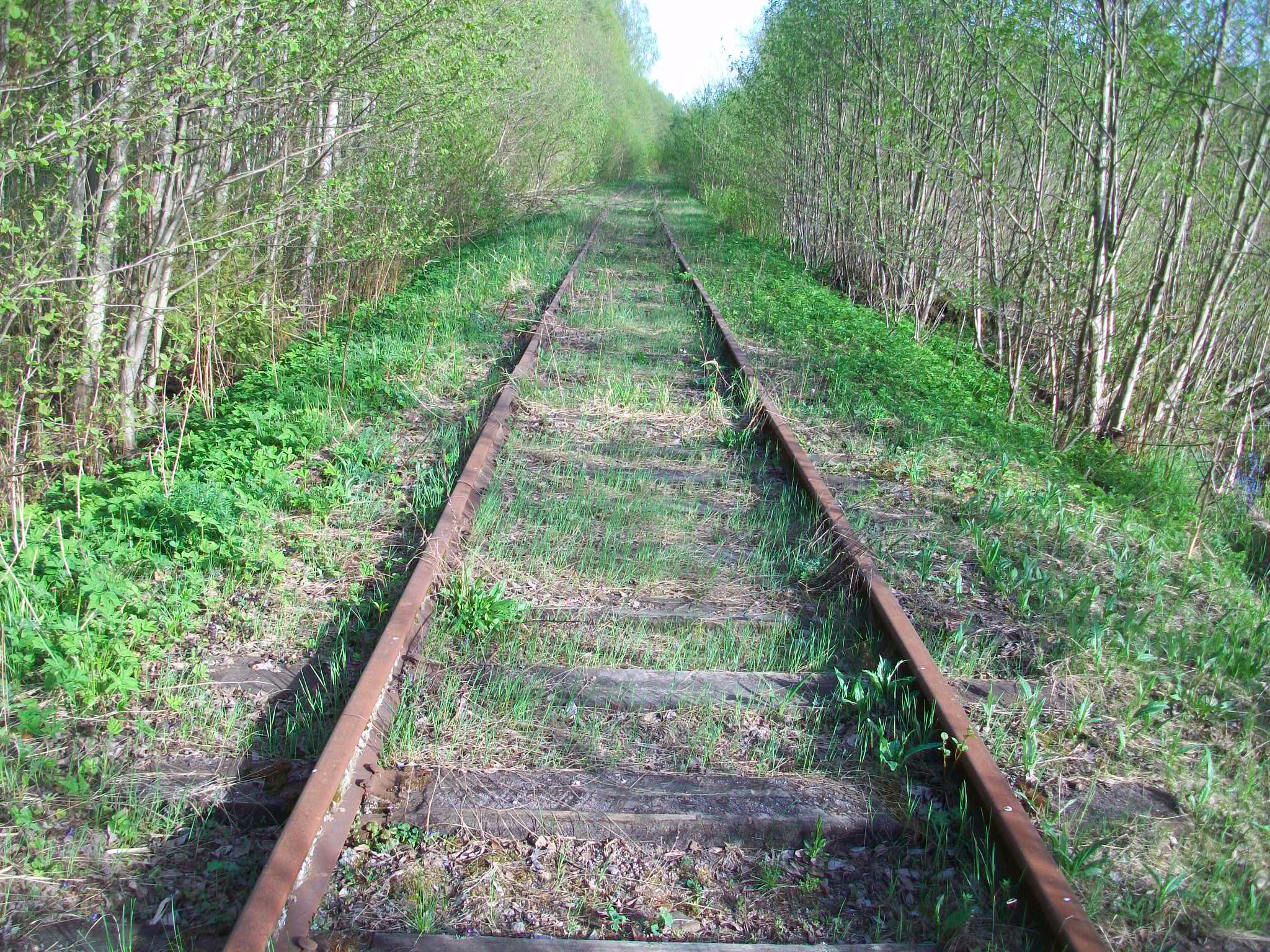 Железнодорожная линия Валдай — Крестцы 
  —  фотографии, сделанные в 2015 году (часть 51)