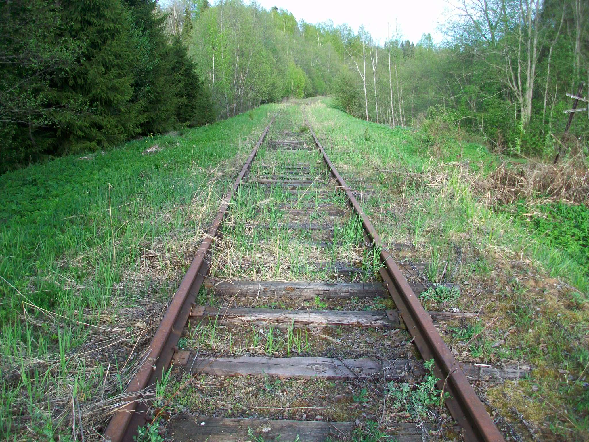 Железнодорожная линия Валдай — Крестцы 
  —  фотографии, сделанные в 2015 году (часть 54)