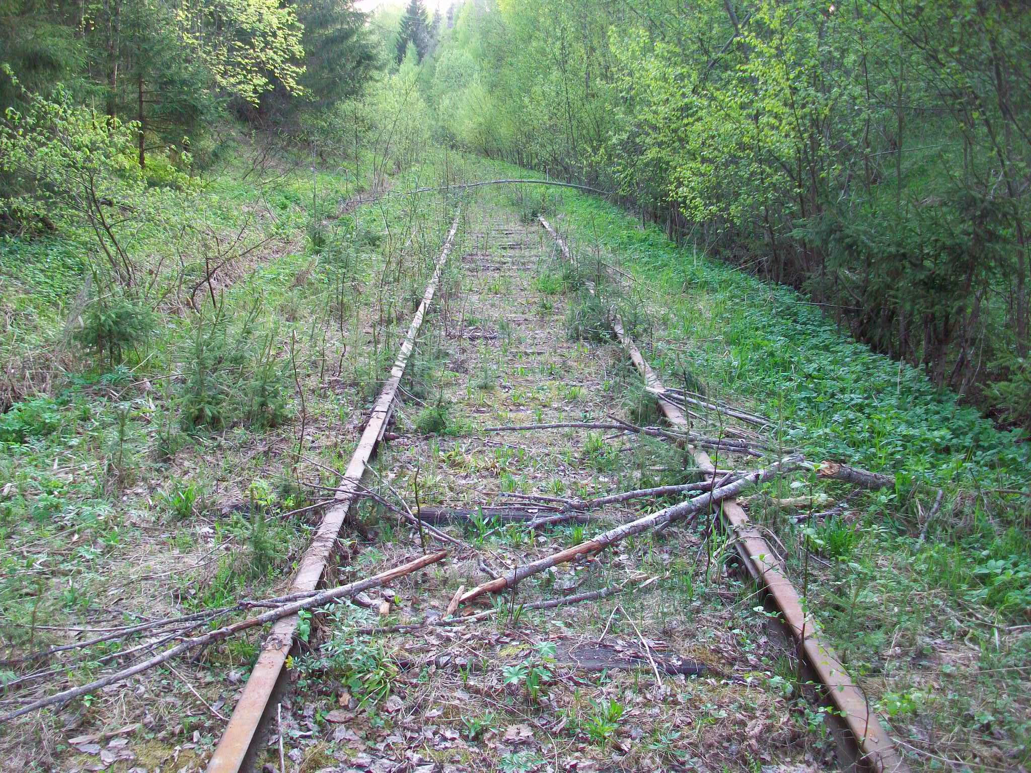 Железнодорожная линия Валдай — Крестцы 
  —  фотографии, сделанные в 2015 году (часть 56)