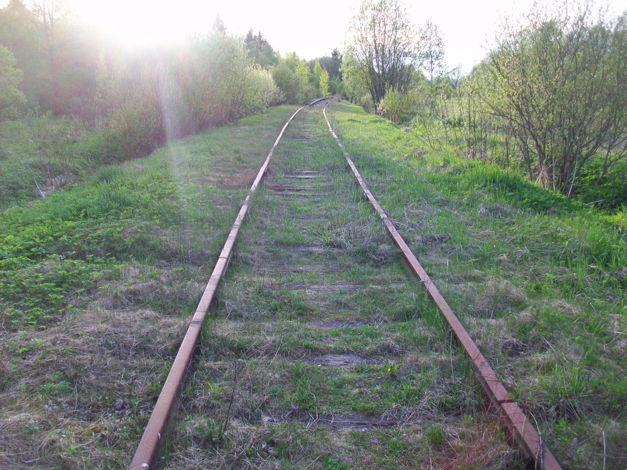 Железнодорожная линия Валдай — Крестцы 
  —  фотографии, сделанные в 2015 году (часть 58)