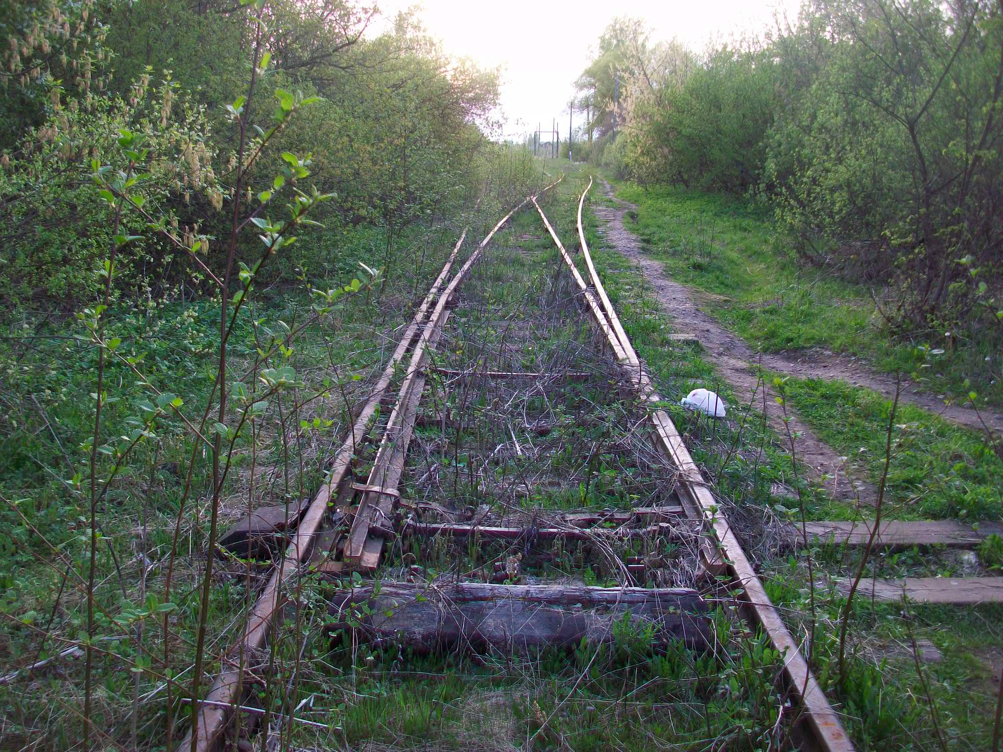 Железнодорожная линия Валдай — Крестцы 
  —  фотографии, сделанные в 2015 году (часть 60)