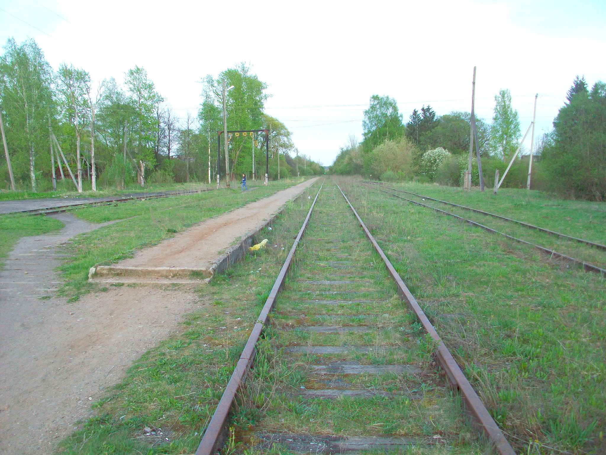 Железнодорожная линия Валдай — Крестцы 
  —  фотографии, сделанные в 2015 году (часть 61)