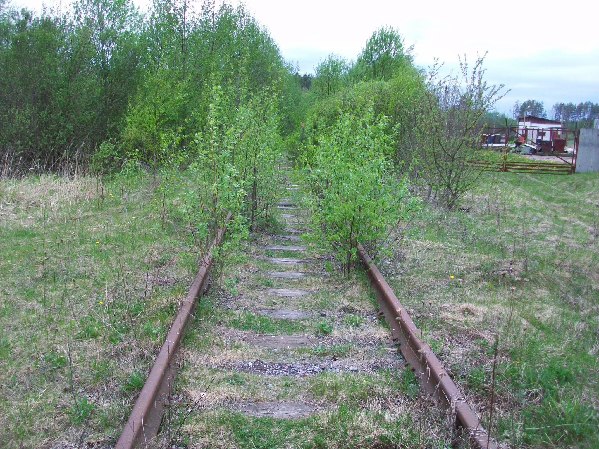 Железнодорожная линия Валдай — Крестцы 
  —  фотографии, сделанные в 2015 году (часть 62)