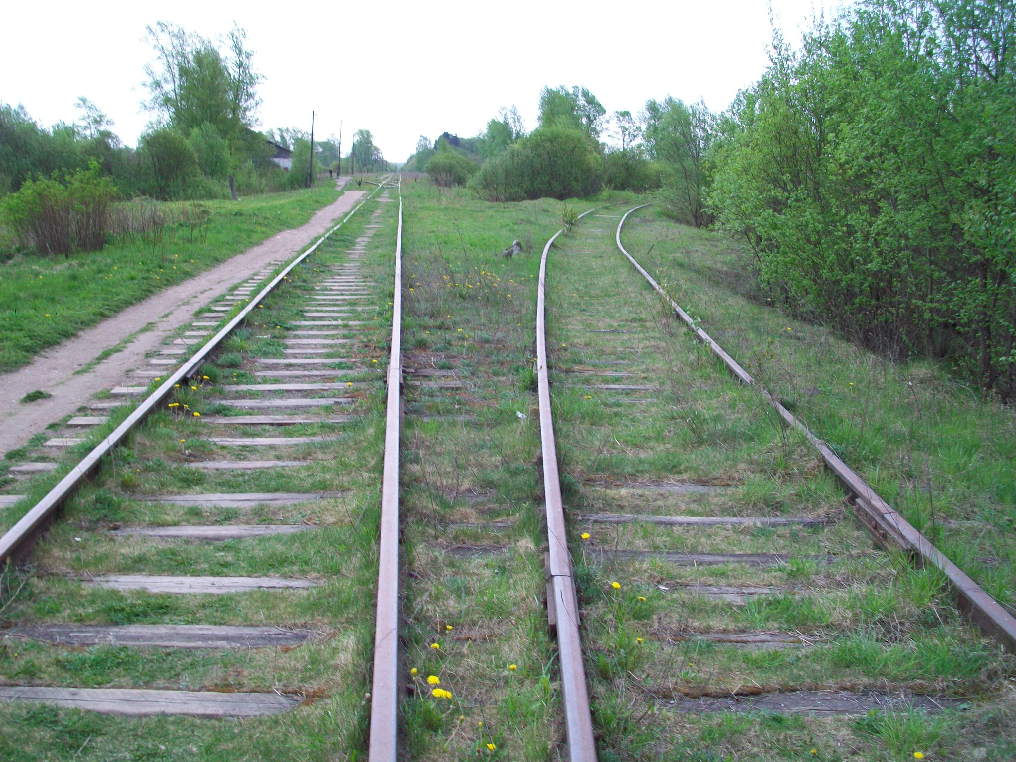 Железнодорожная линия Валдай — Крестцы 
  —  фотографии, сделанные в 2015 году (часть 64)