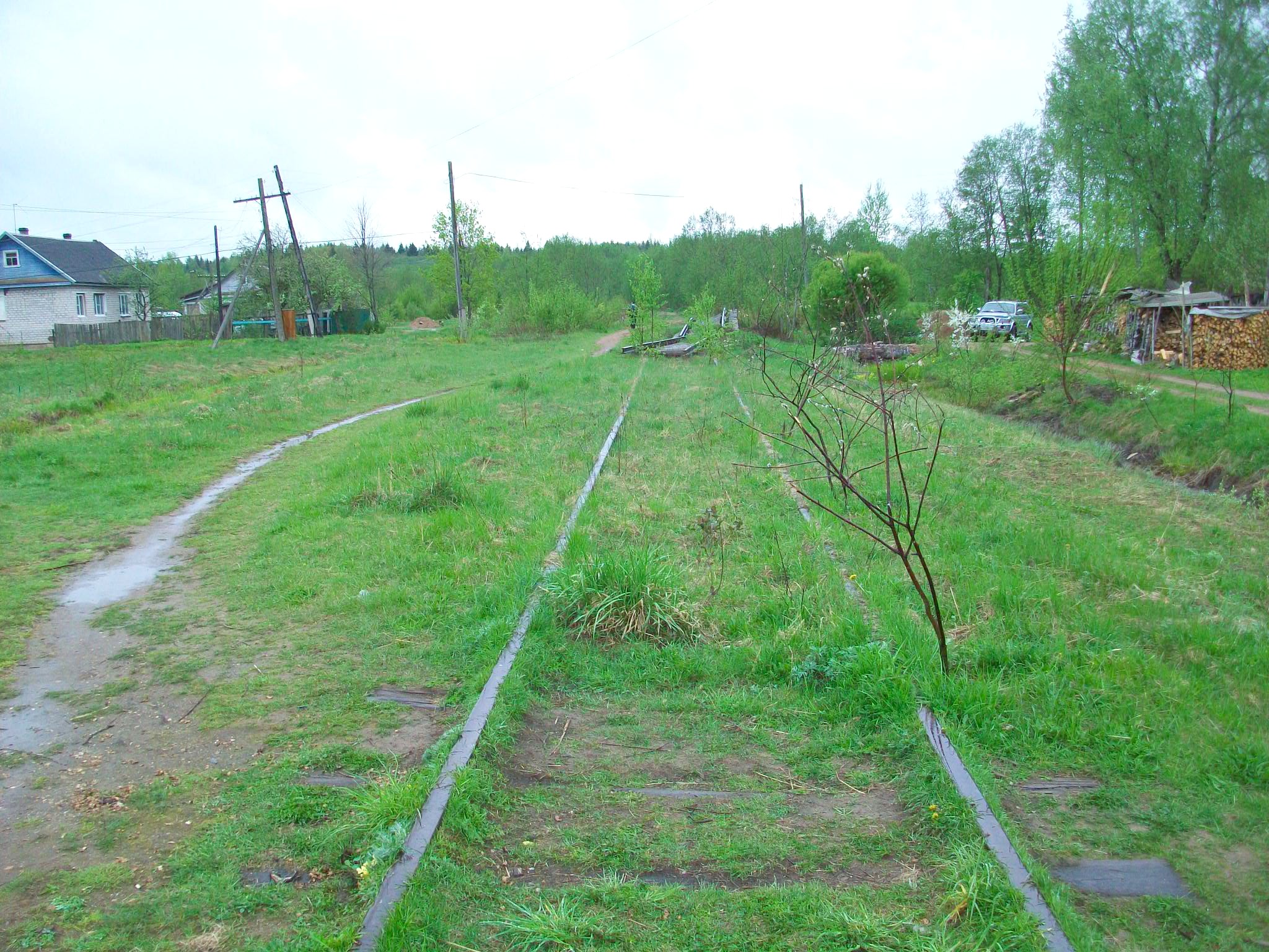 Железнодорожная линия Валдай — Крестцы 
  —  фотографии, сделанные в 2015 году (часть 65)