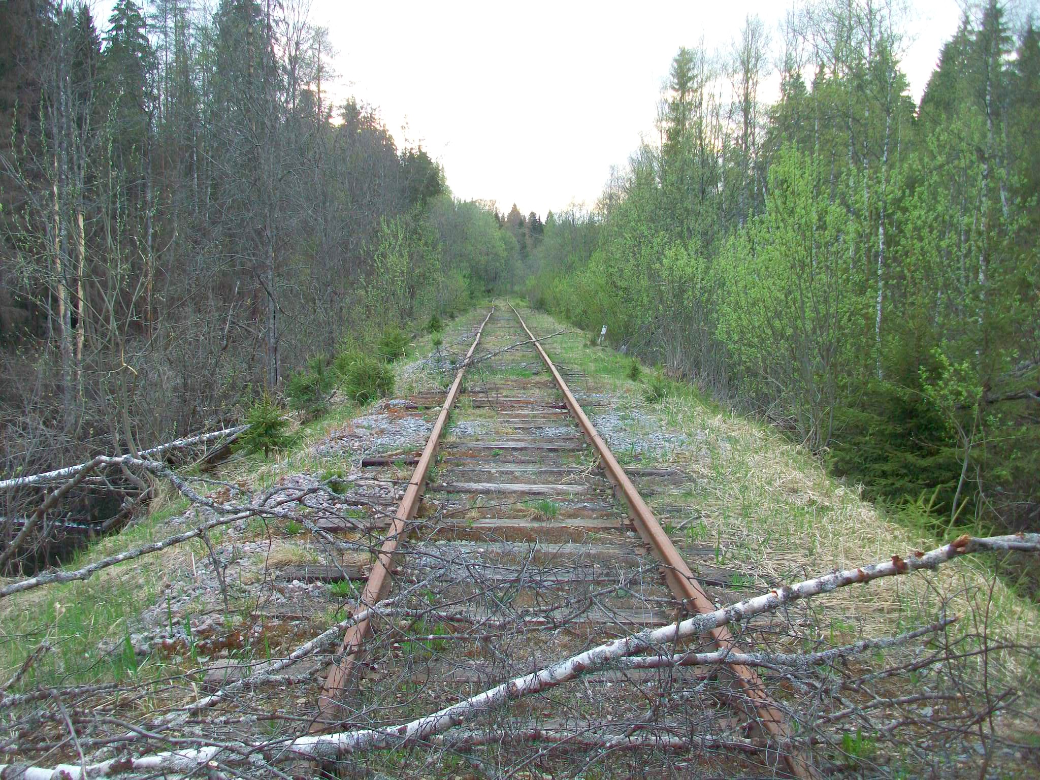 Железнодорожная линия Валдай — Крестцы 
  —  фотографии, сделанные в 2015 году (часть 12)