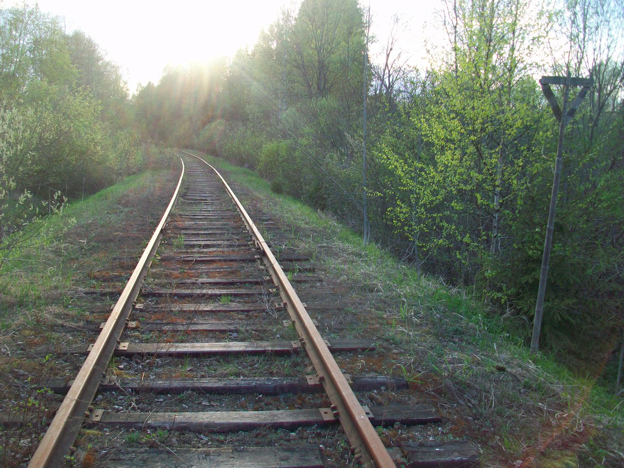 Железнодорожная линия Валдай — Крестцы 
  —  фотографии, сделанные в 2015 году (часть 14)