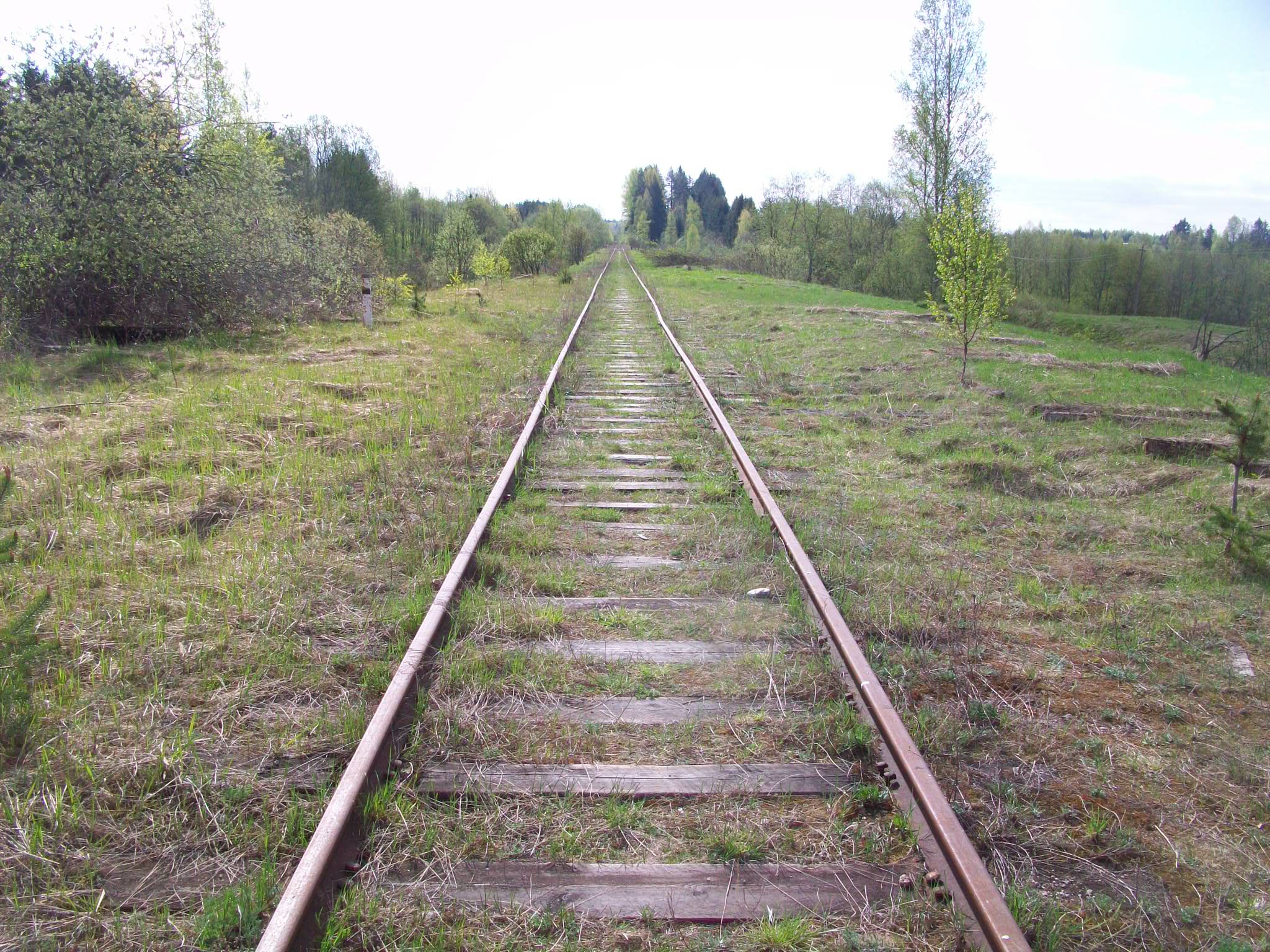 Железнодорожная линия Валдай — Крестцы 
  —  фотографии, сделанные в 2015 году (часть 18)