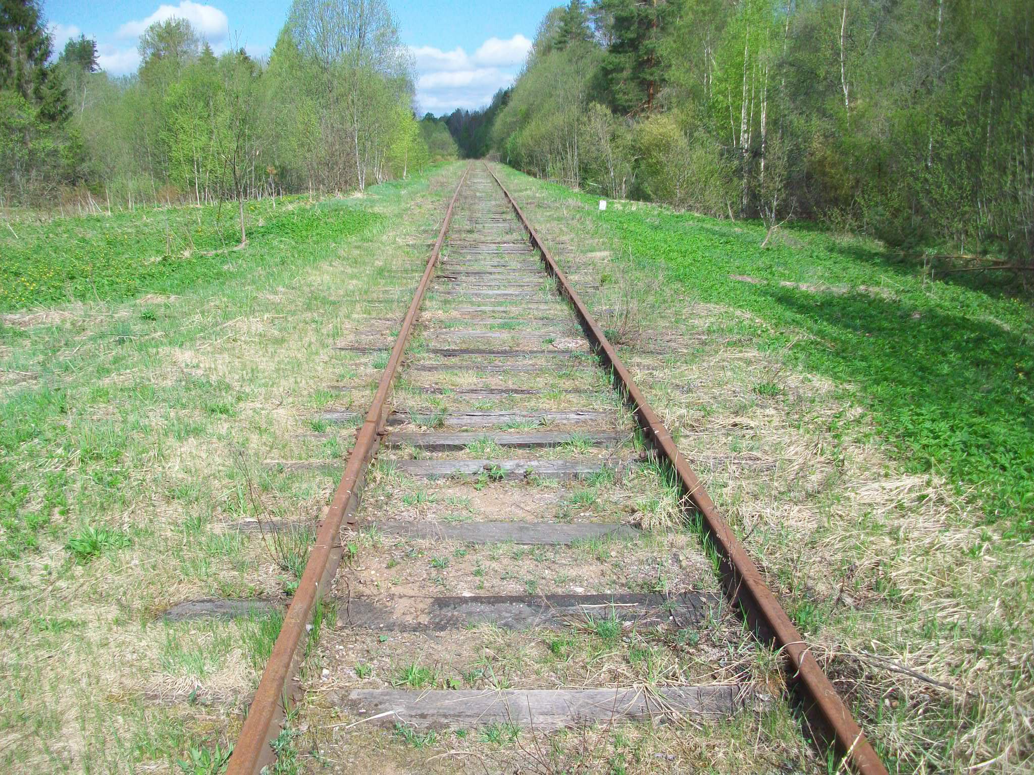 Железнодорожная линия Валдай — Крестцы 
  —  фотографии, сделанные в 2015 году (часть 19)