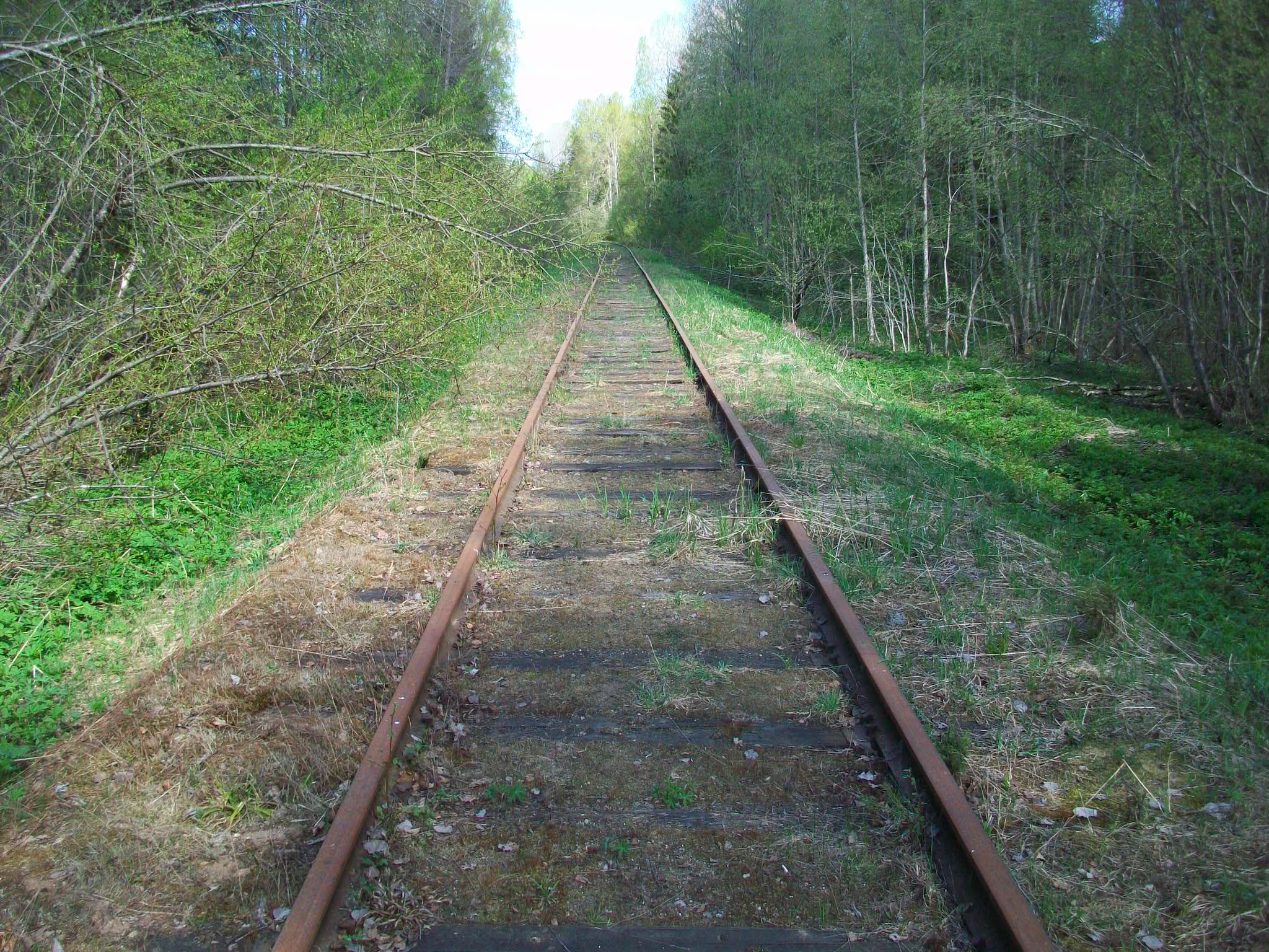 Железнодорожная линия Валдай — Крестцы 
  —  фотографии, сделанные в 2015 году (часть 21)