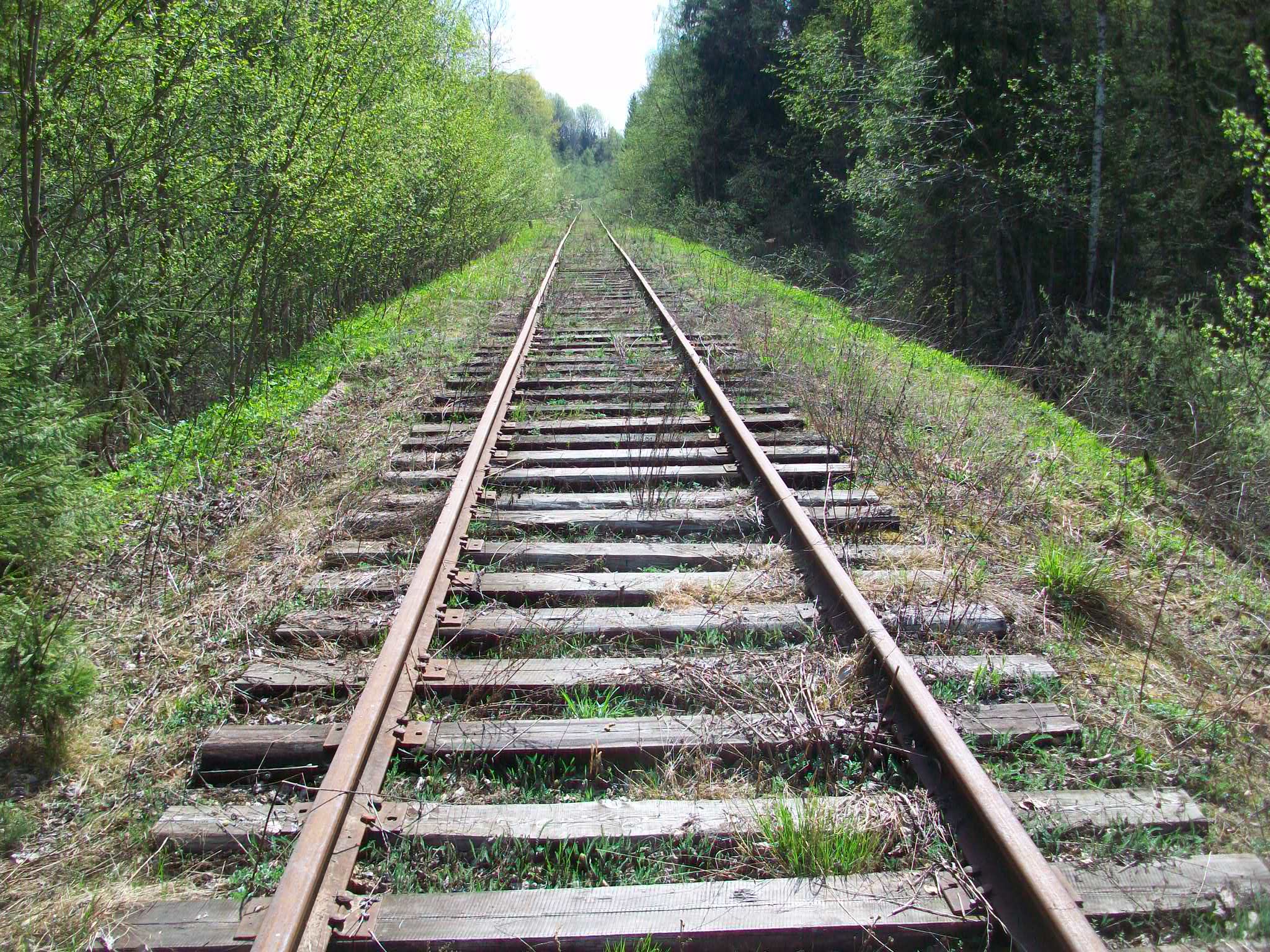 Железнодорожная линия Валдай — Крестцы 
  —  фотографии, сделанные в 2015 году (часть 22)