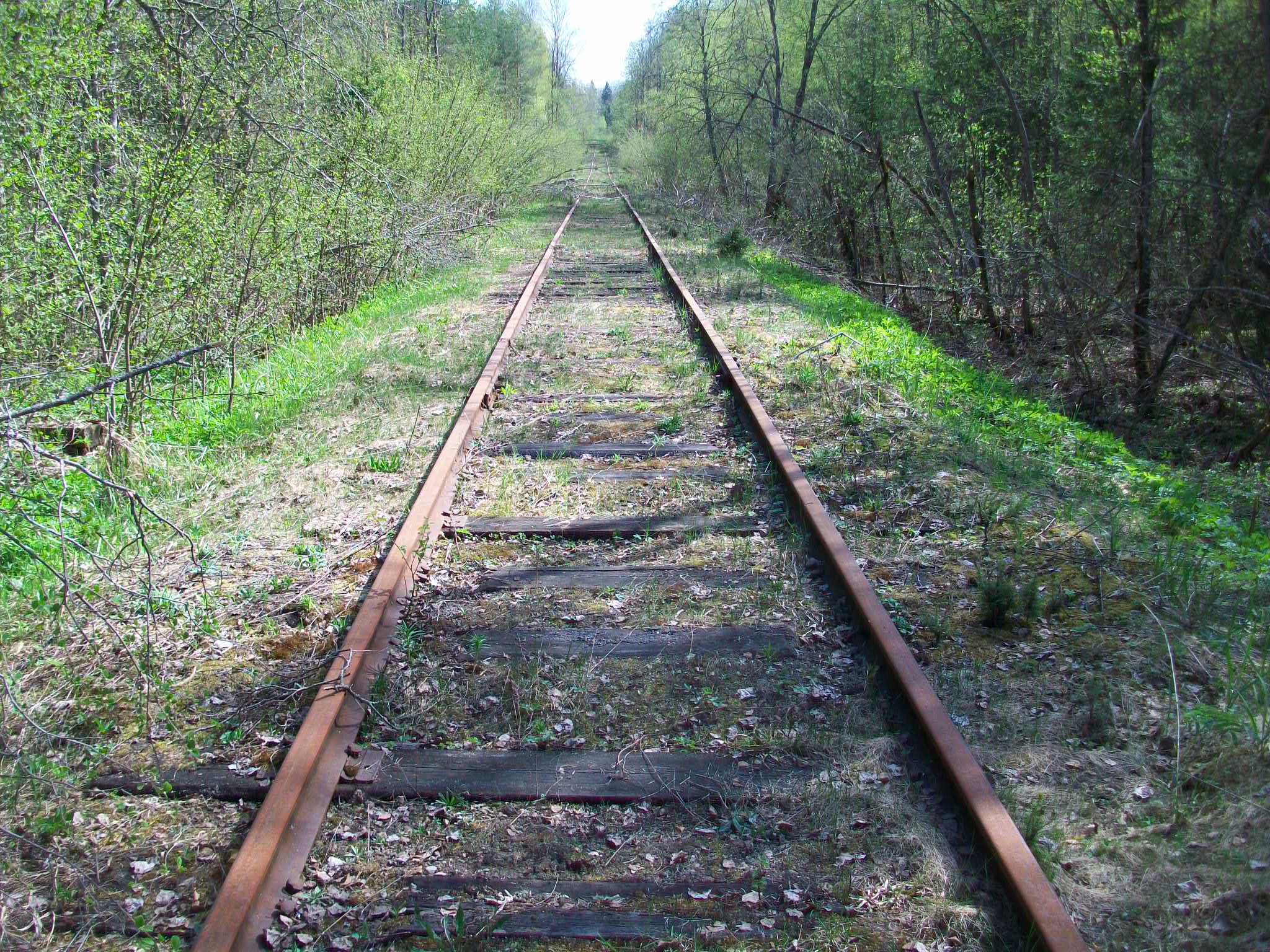 Железнодорожная линия Валдай — Крестцы 
  —  фотографии, сделанные в 2015 году (часть 24)