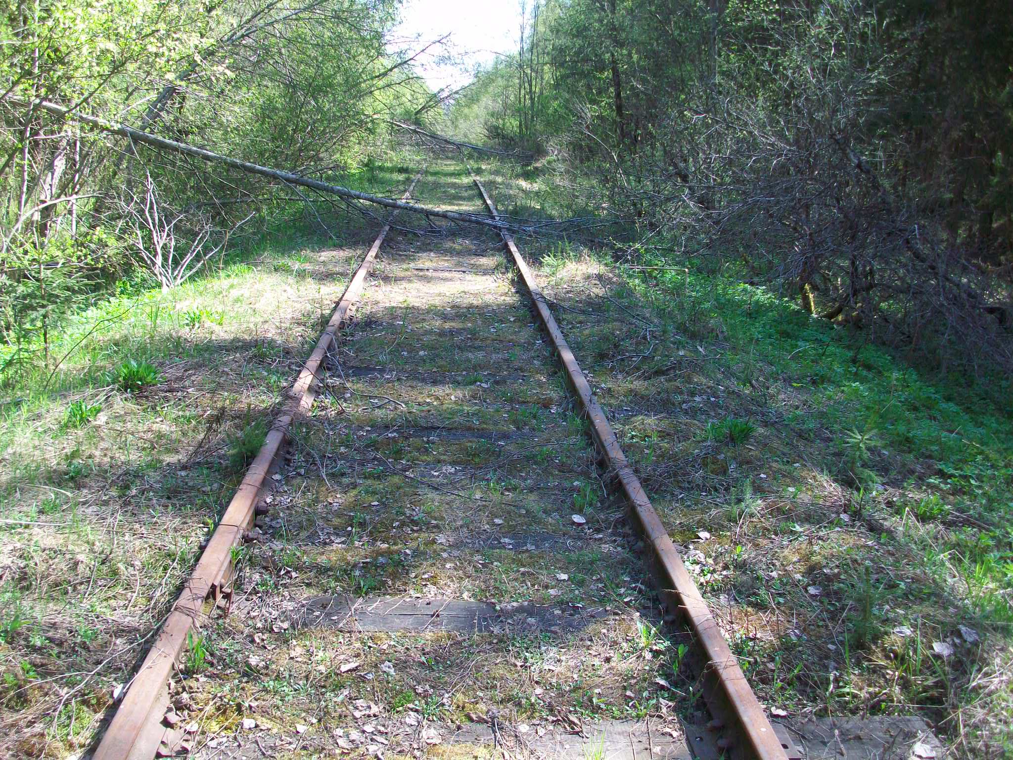 Железнодорожная линия Валдай — Крестцы 
  —  фотографии, сделанные в 2015 году (часть 25)