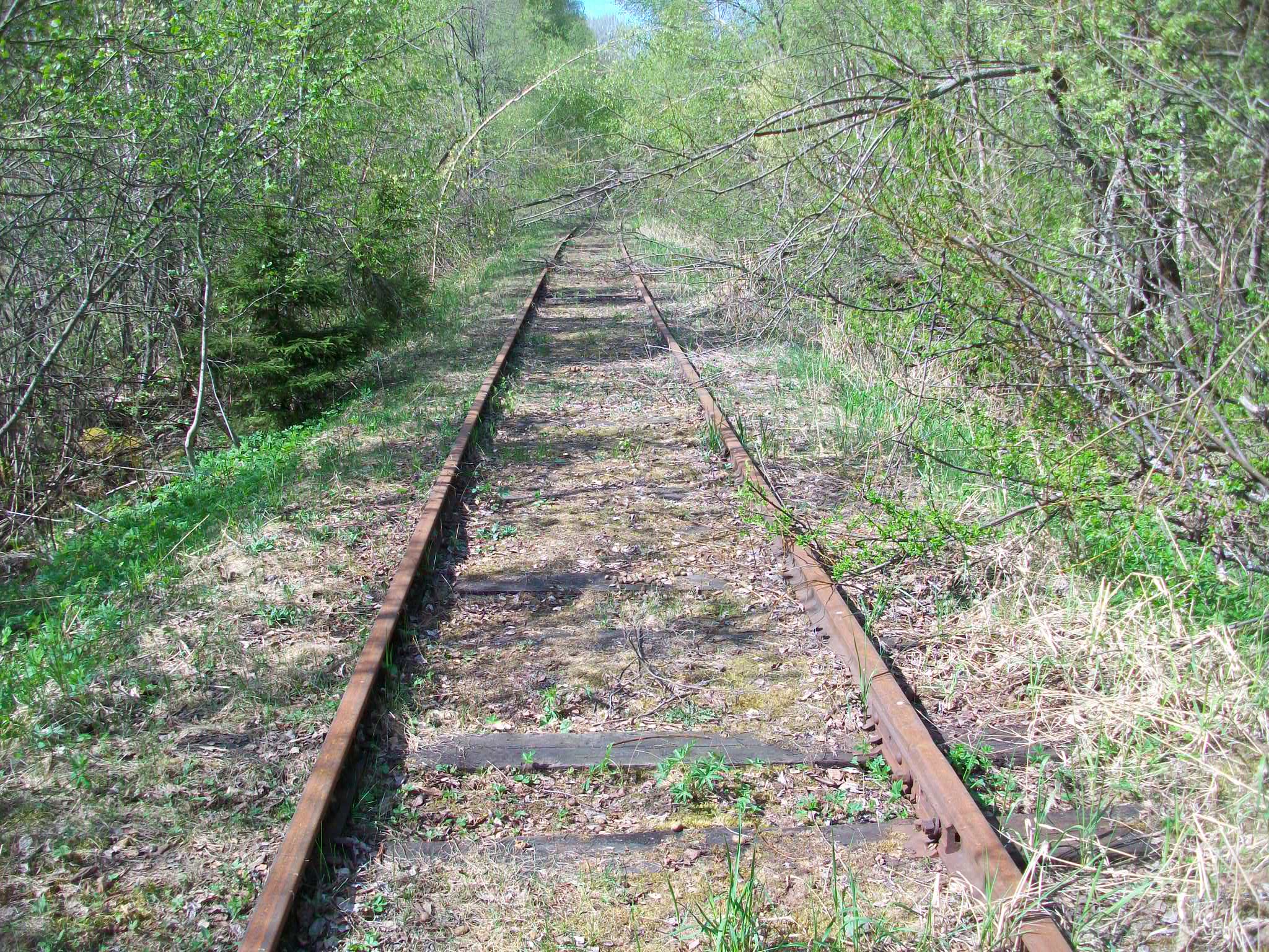 Железнодорожная линия Валдай — Крестцы 
  —  фотографии, сделанные в 2015 году (часть 26)