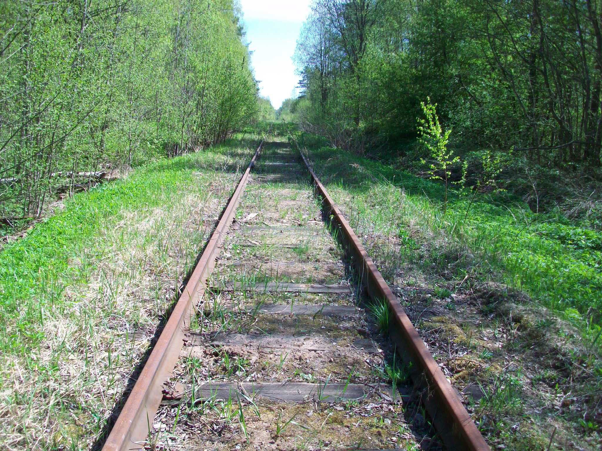 Железнодорожная линия Валдай — Крестцы 
  —  фотографии, сделанные в 2015 году (часть 28)
