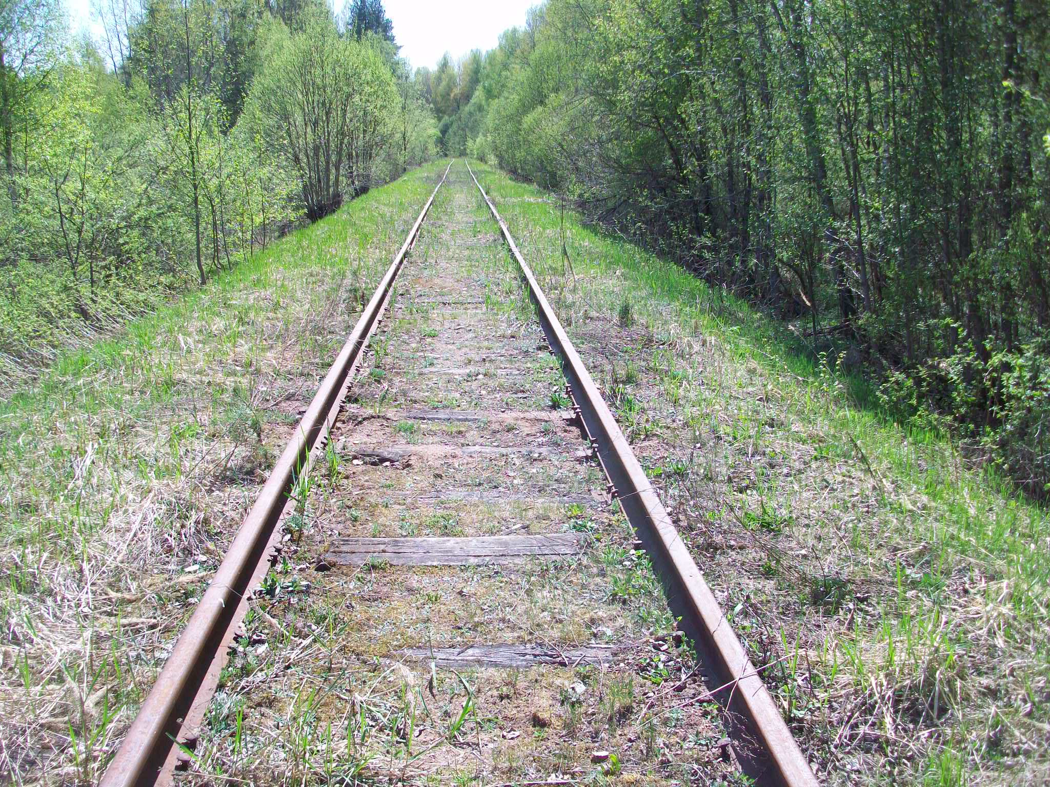 Железнодорожная линия Валдай — Крестцы 
  —  фотографии, сделанные в 2015 году (часть 30)