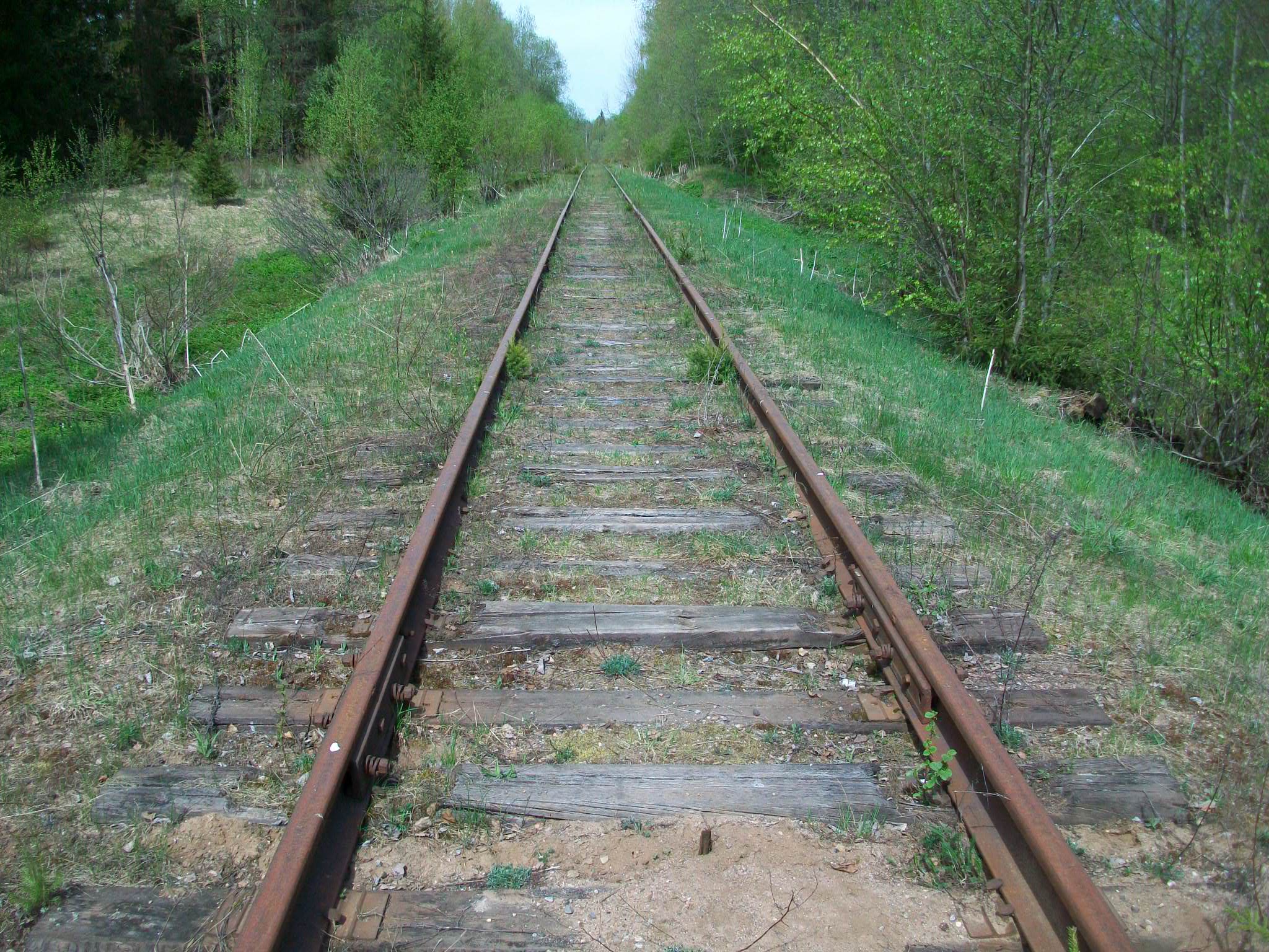 Железнодорожная линия Валдай — Крестцы 
  —  фотографии, сделанные в 2015 году (часть 31)