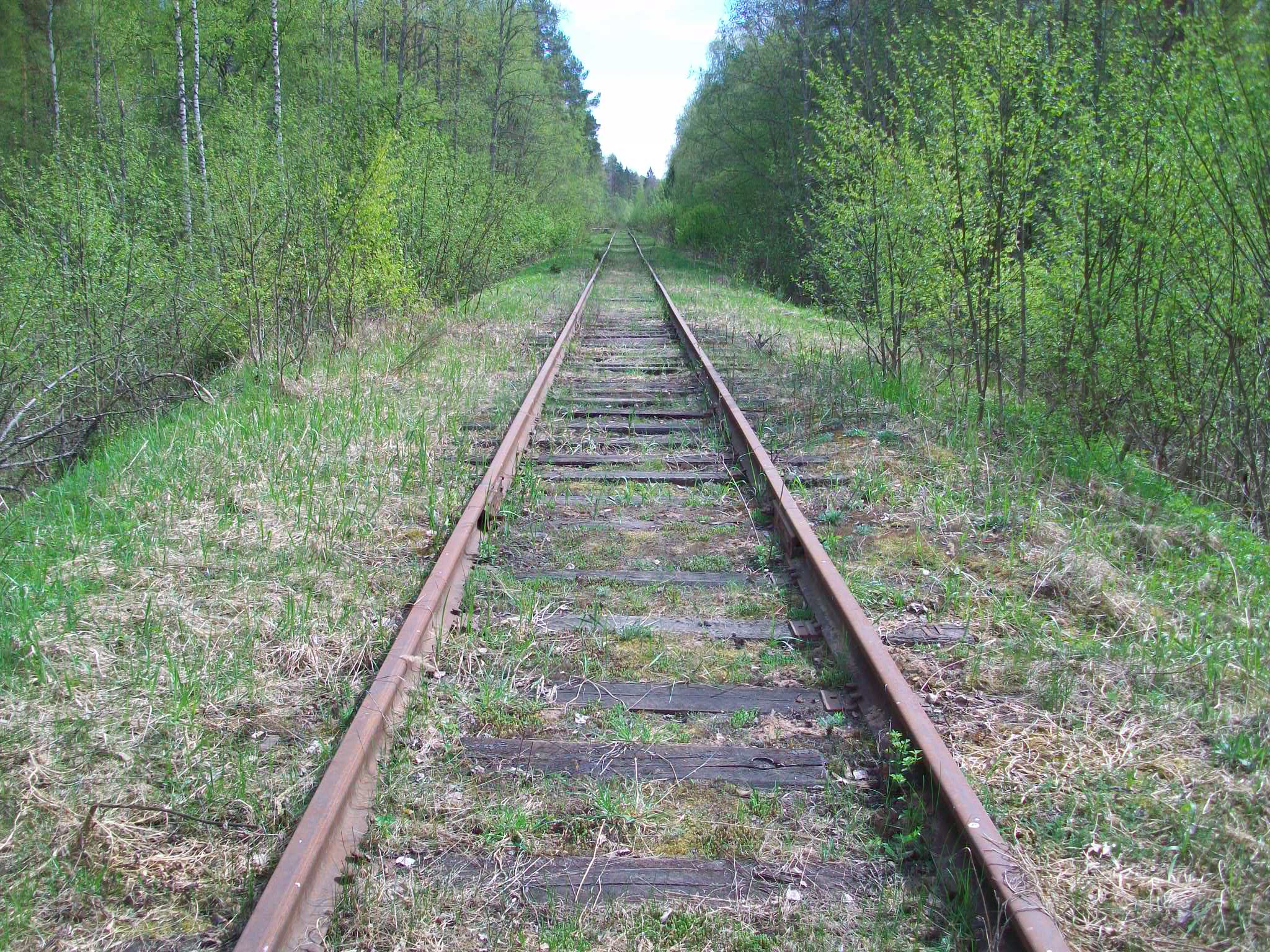 Железнодорожная линия Валдай — Крестцы 
  —  фотографии, сделанные в 2015 году (часть 32)