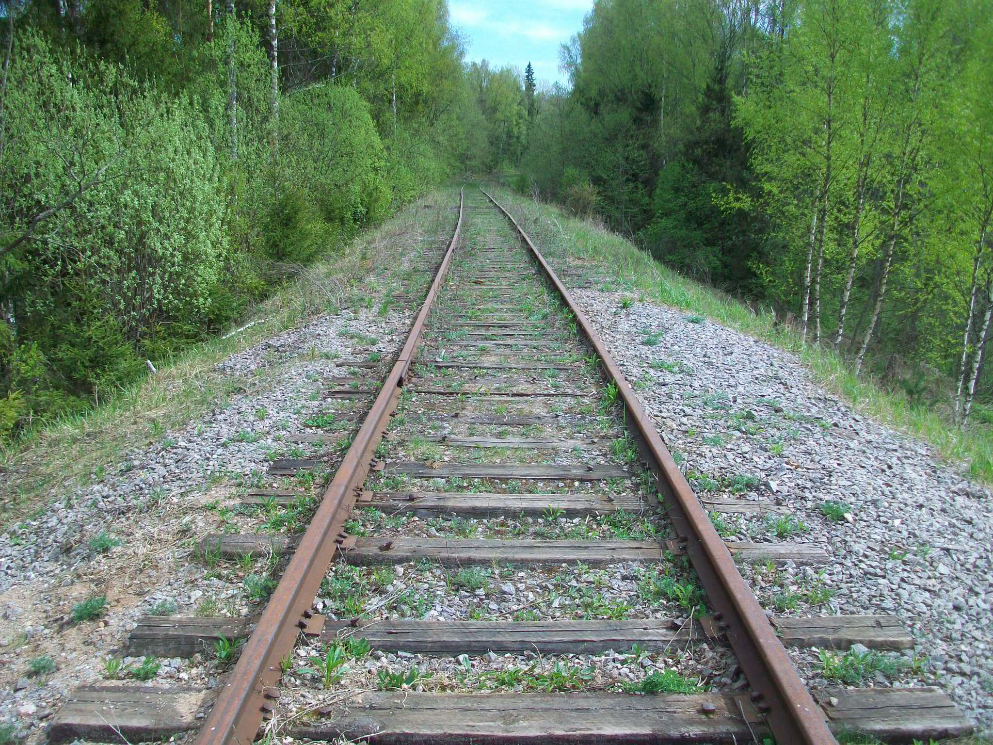 Железнодорожная линия Валдай — Крестцы 
  —  фотографии, сделанные в 2015 году (часть 34)