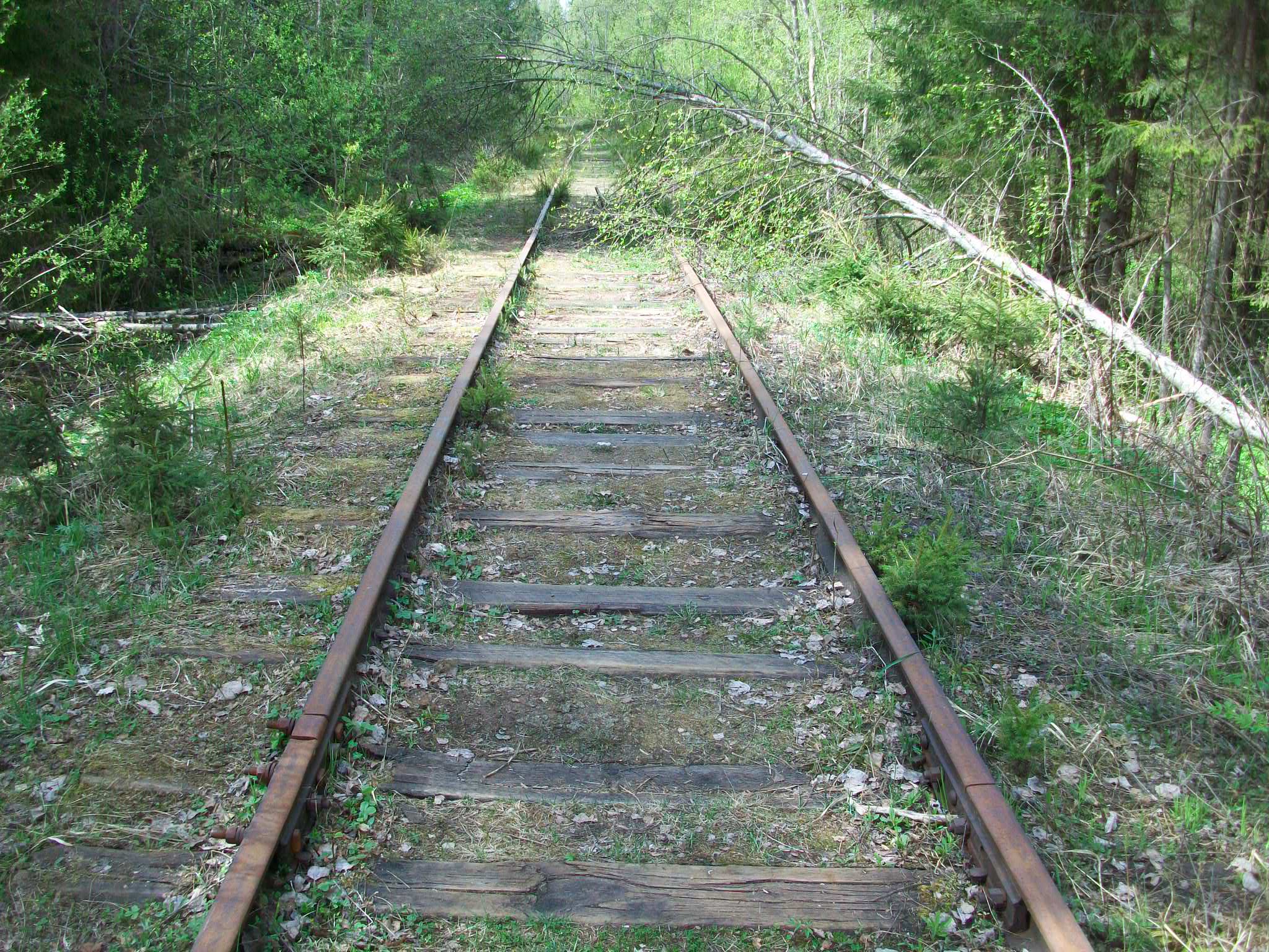 Железнодорожная линия Валдай — Крестцы 
  —  фотографии, сделанные в 2015 году (часть 35)