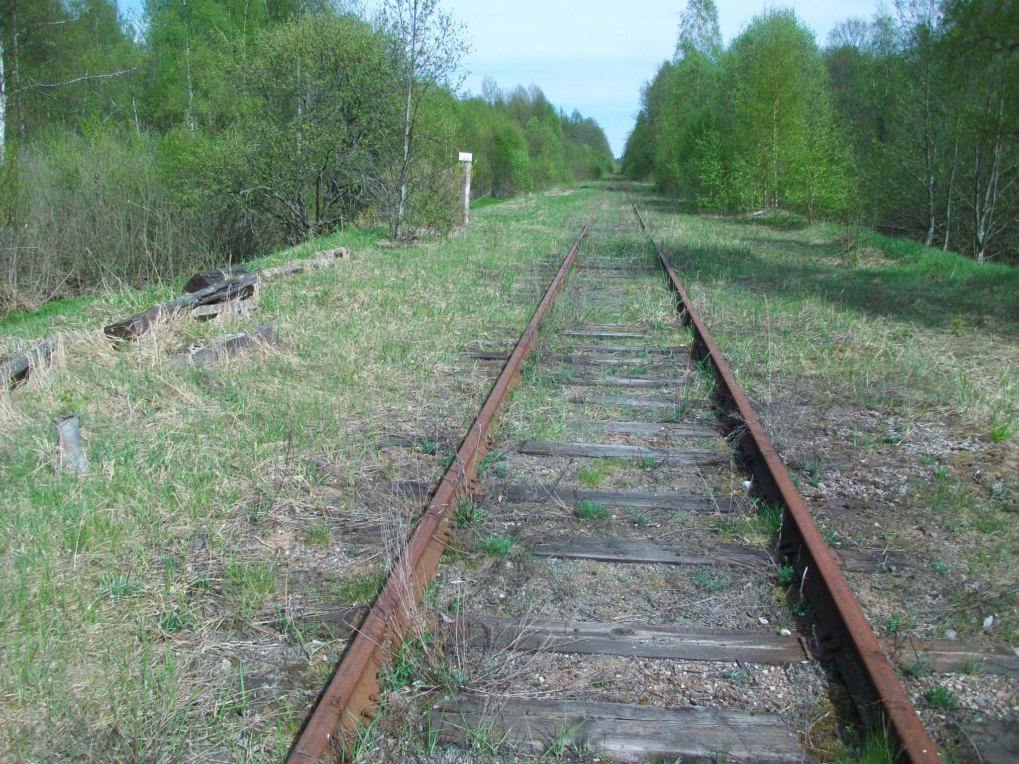 Железнодорожная линия Валдай — Крестцы 
  —  фотографии, сделанные в 2015 году (часть 38)