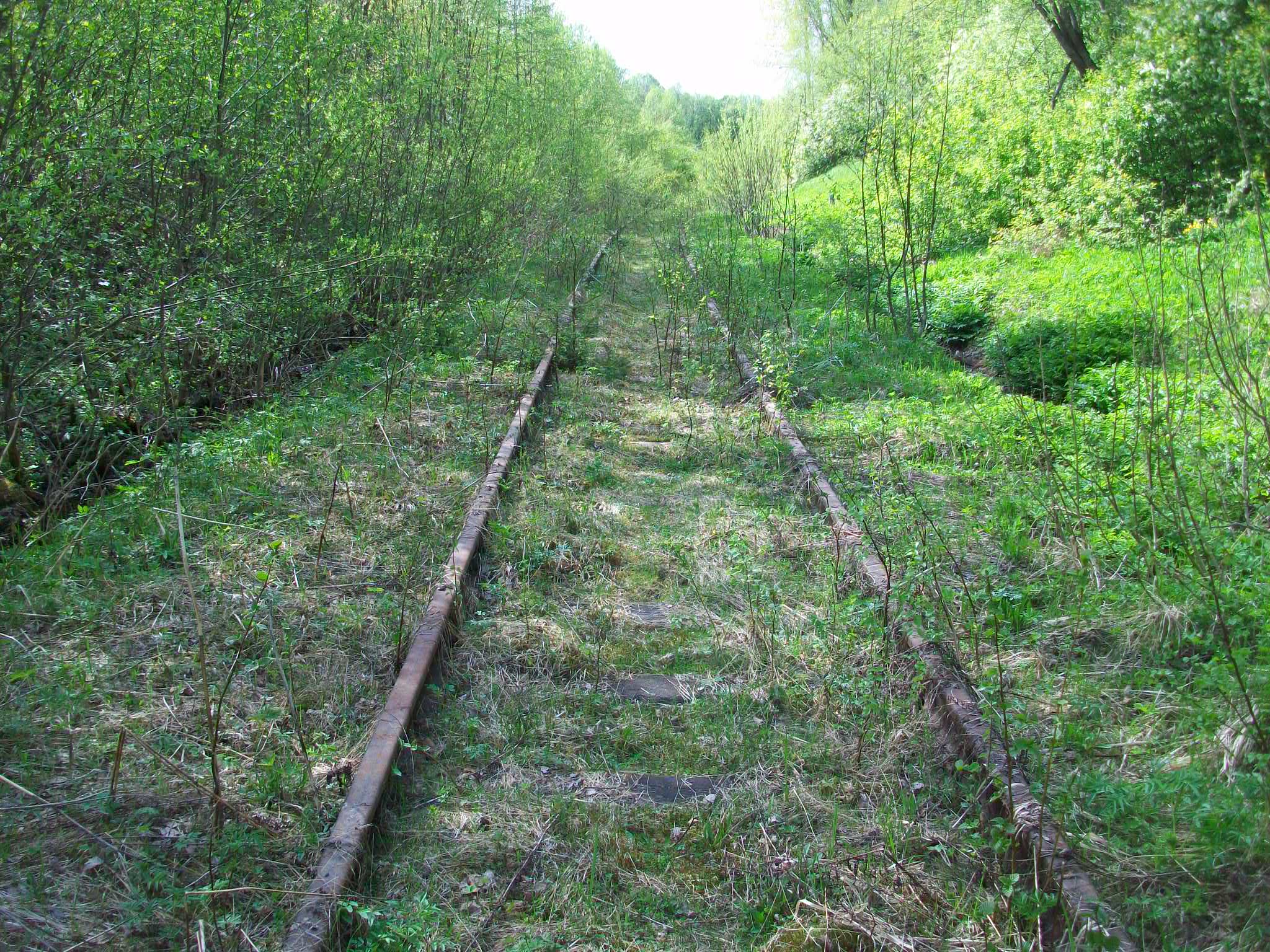 Железнодорожная линия Валдай — Крестцы 
  —  фотографии, сделанные в 2015 году (часть 39)