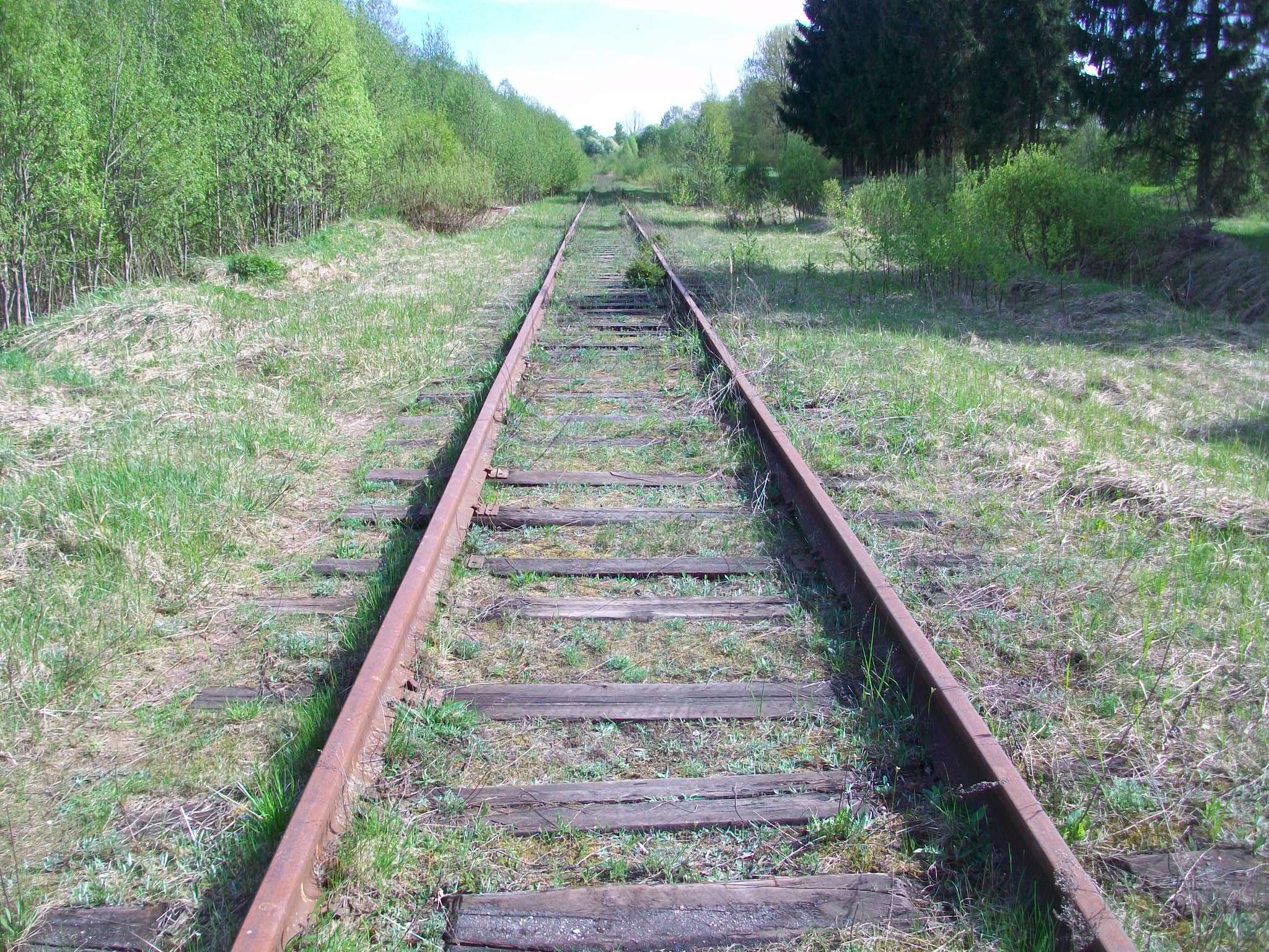 Железнодорожная линия Валдай — Крестцы 
  —  фотографии, сделанные в 2015 году (часть 40)
