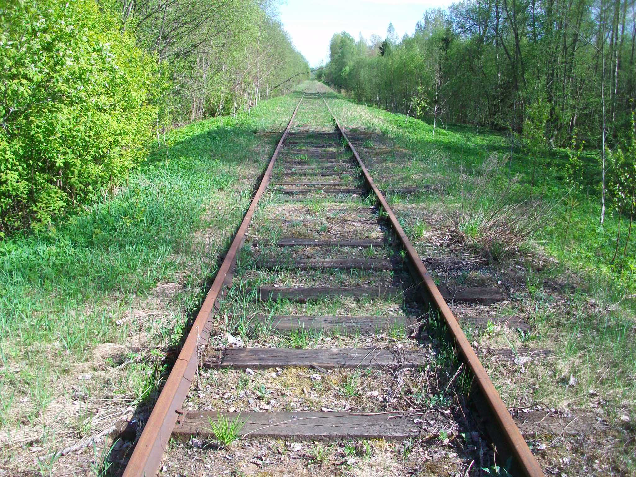 Железнодорожная линия Валдай — Крестцы 
  —  фотографии, сделанные в 2015 году (часть 41)
