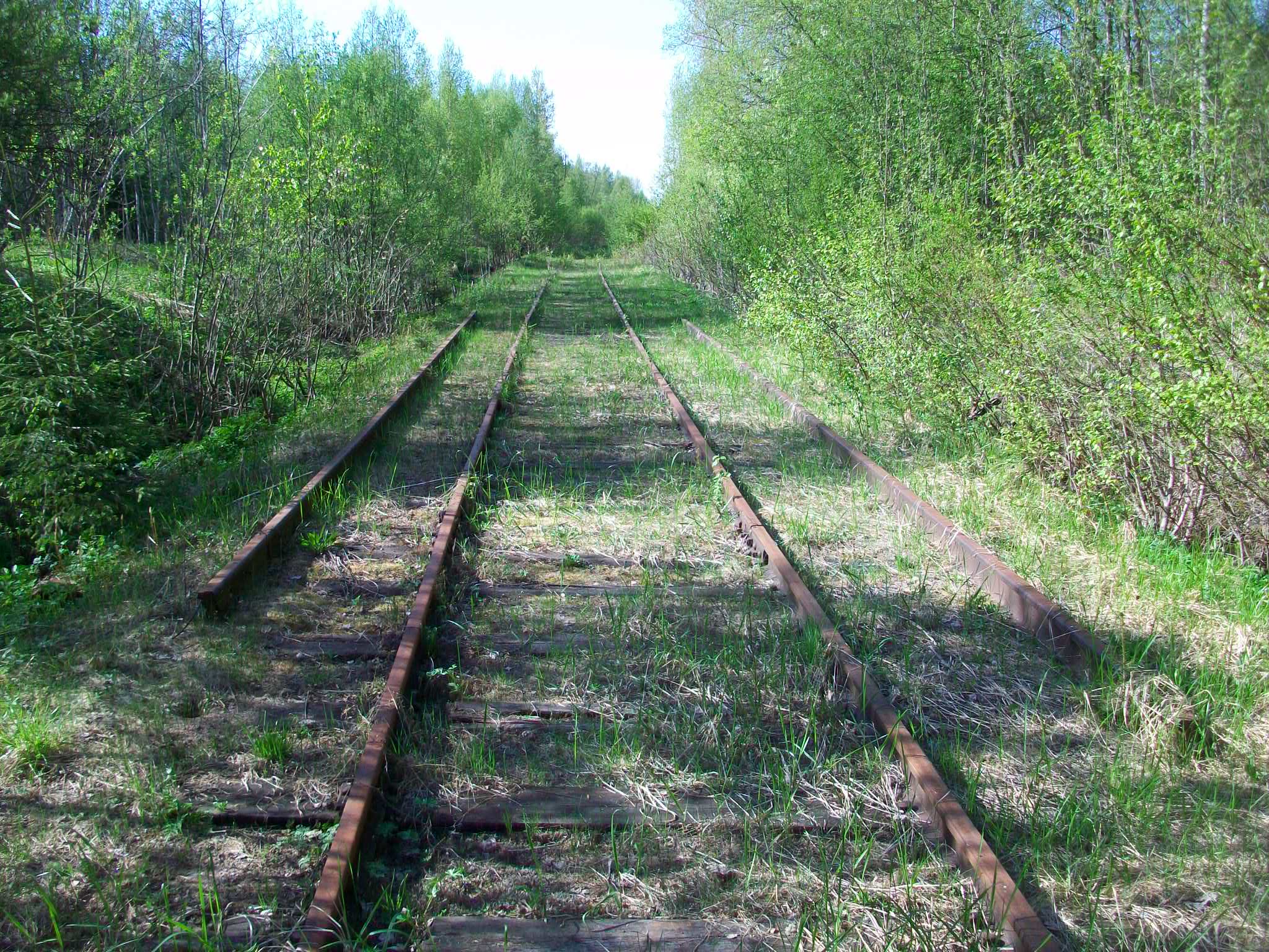 Железнодорожная линия Валдай — Крестцы 
  —  фотографии, сделанные в 2015 году (часть 42)