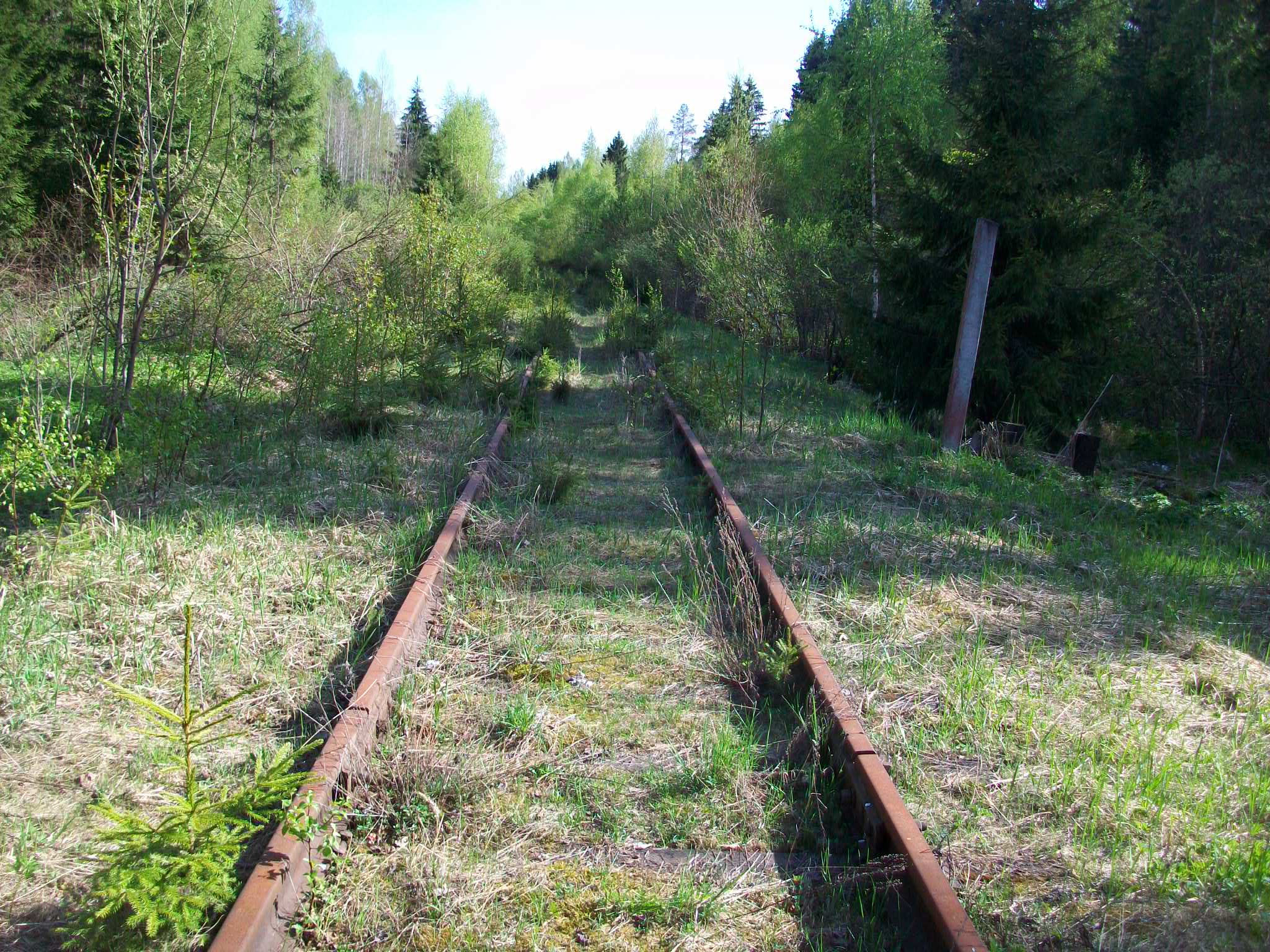 Железнодорожная линия Валдай — Крестцы 
  —  фотографии, сделанные в 2015 году (часть 44)