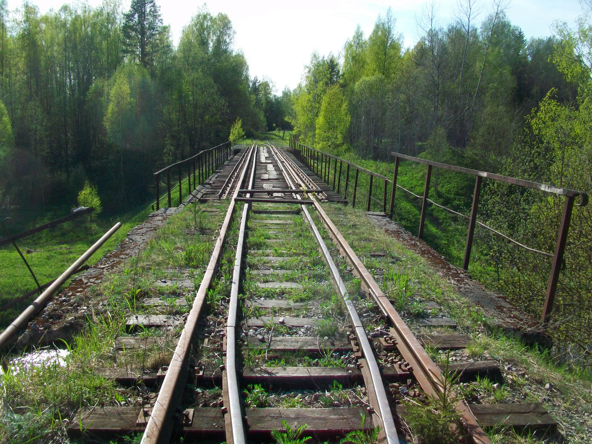 Железнодорожная линия Валдай — Крестцы 
  —  фотографии, сделанные в 2015 году (часть  46)