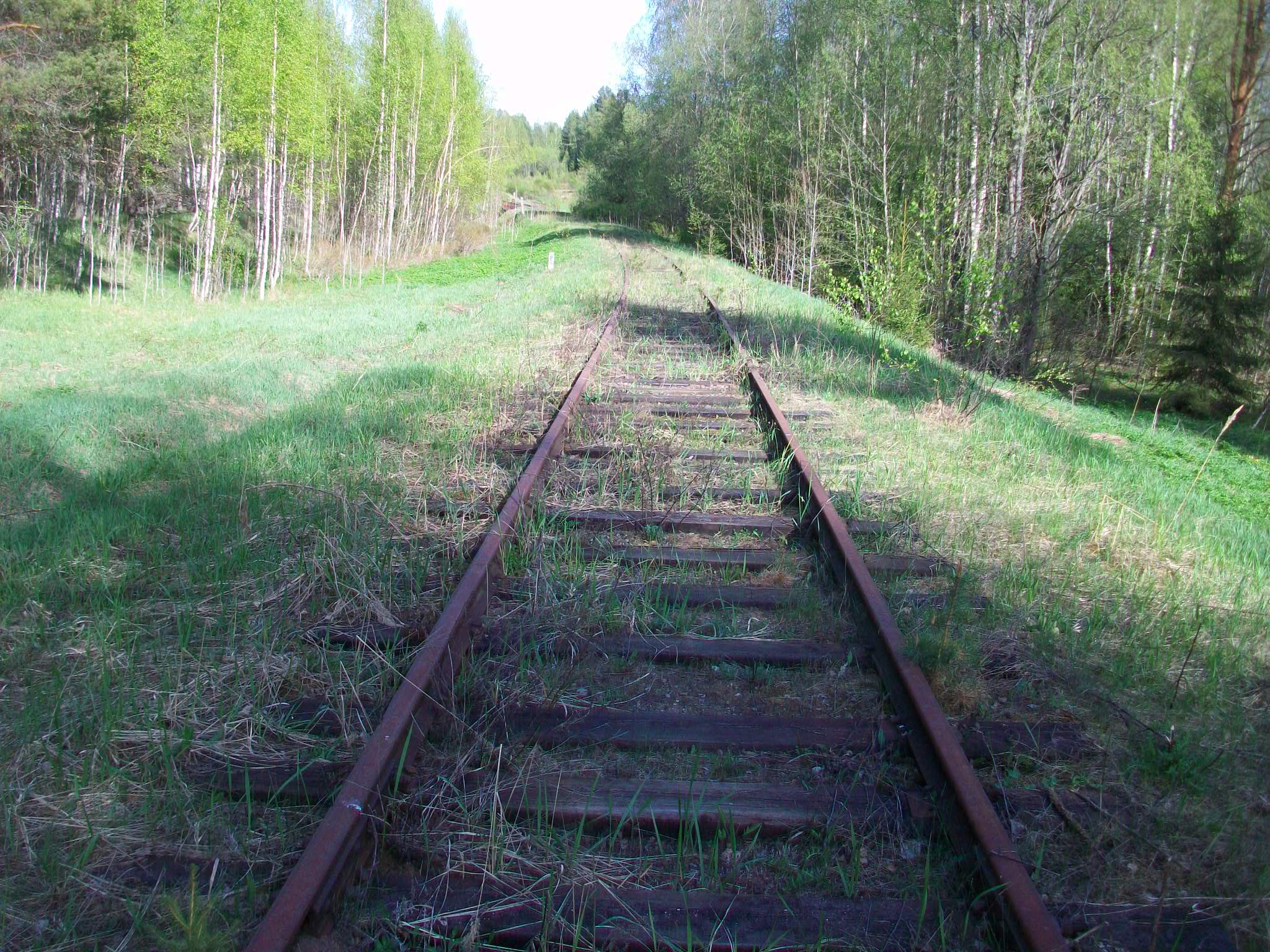Железнодорожная линия Валдай — Крестцы 
  —  фотографии, сделанные в 2015 году (часть 47)